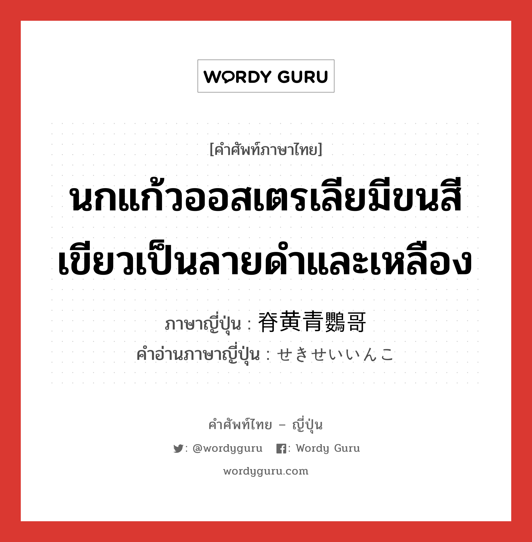 นกแก้วออสเตรเลียมีขนสีเขียวเป็นลายดำและเหลือง ภาษาญี่ปุ่นคืออะไร, คำศัพท์ภาษาไทย - ญี่ปุ่น นกแก้วออสเตรเลียมีขนสีเขียวเป็นลายดำและเหลือง ภาษาญี่ปุ่น 脊黄青鸚哥 คำอ่านภาษาญี่ปุ่น せきせいいんこ หมวด n หมวด n