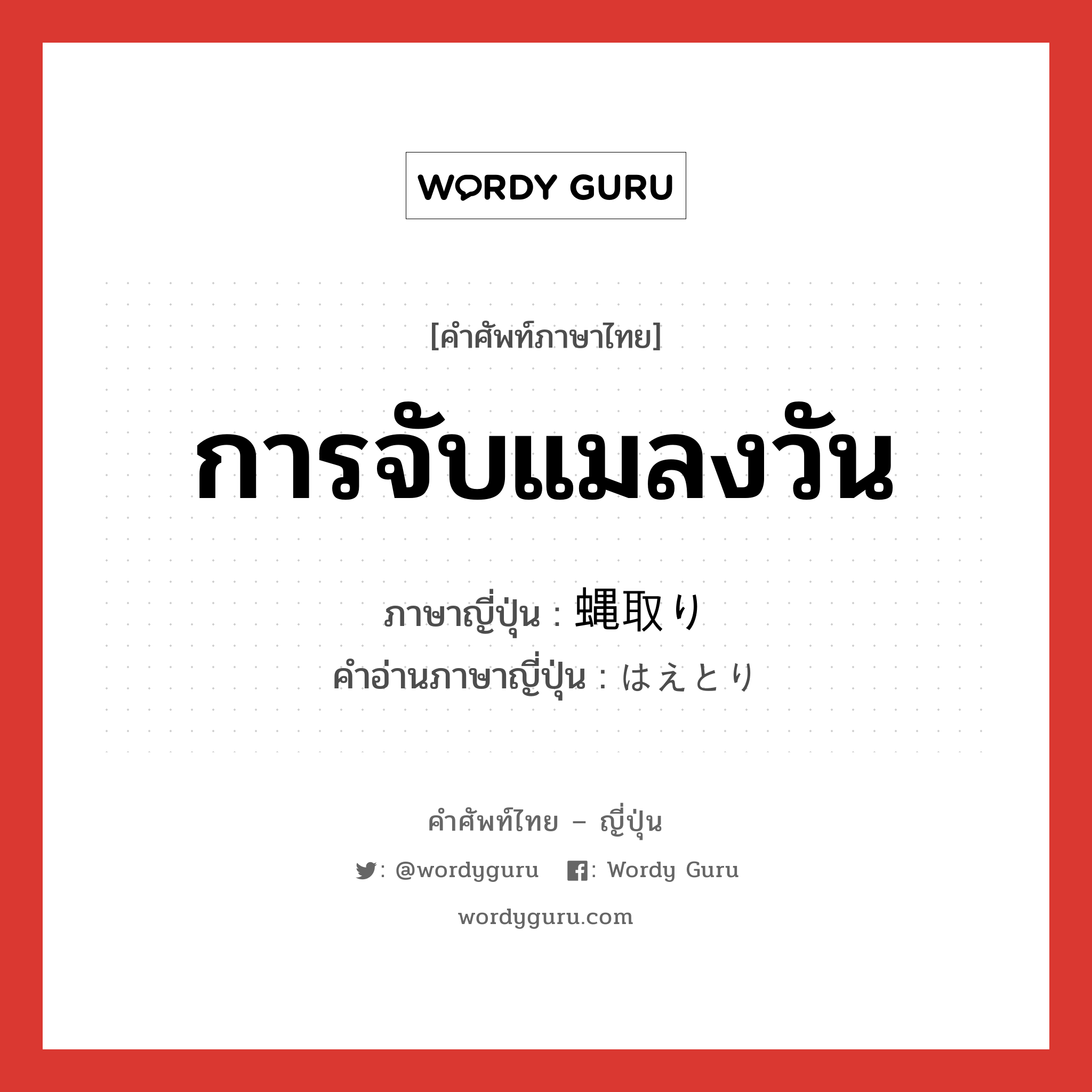 การจับแมลงวัน ภาษาญี่ปุ่นคืออะไร, คำศัพท์ภาษาไทย - ญี่ปุ่น การจับแมลงวัน ภาษาญี่ปุ่น 蝿取り คำอ่านภาษาญี่ปุ่น はえとり หมวด n หมวด n