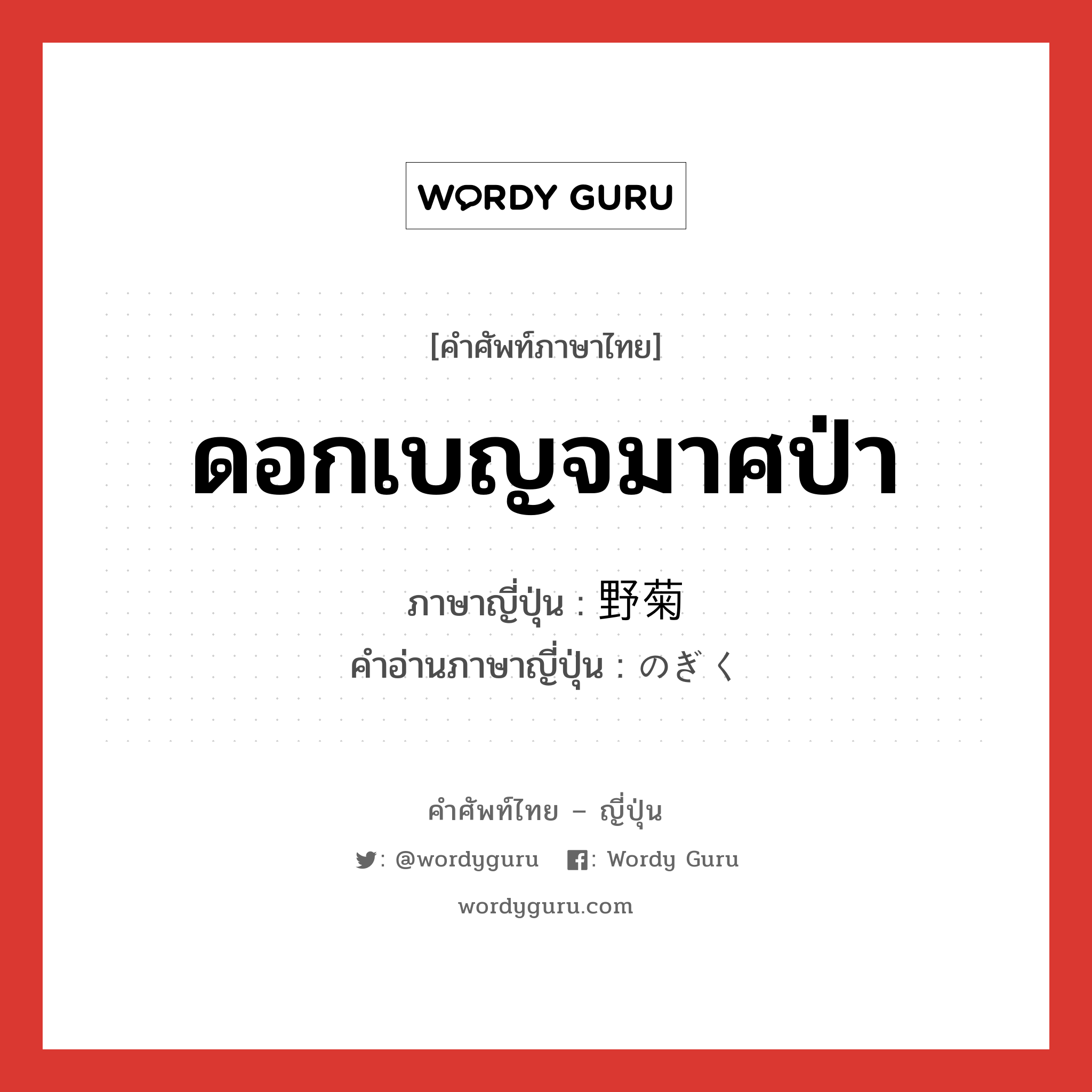 ดอกเบญจมาศป่า ภาษาญี่ปุ่นคืออะไร, คำศัพท์ภาษาไทย - ญี่ปุ่น ดอกเบญจมาศป่า ภาษาญี่ปุ่น 野菊 คำอ่านภาษาญี่ปุ่น のぎく หมวด n หมวด n