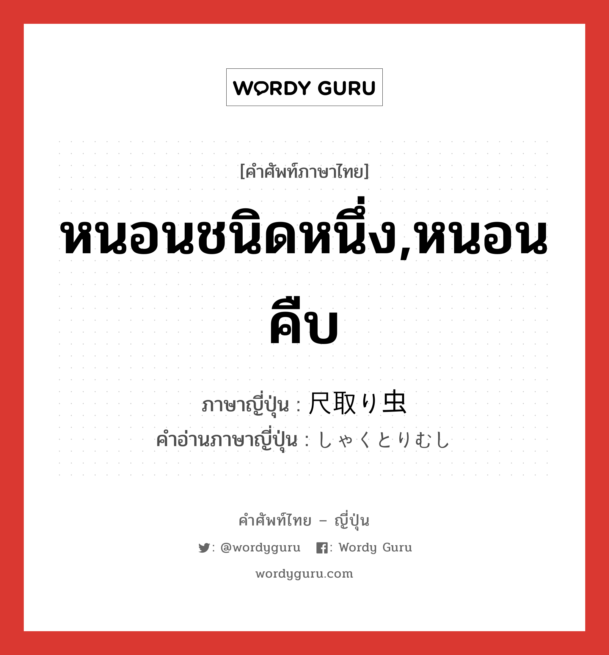 หนอนชนิดหนึ่ง,หนอนคืบ ภาษาญี่ปุ่นคืออะไร, คำศัพท์ภาษาไทย - ญี่ปุ่น หนอนชนิดหนึ่ง,หนอนคืบ ภาษาญี่ปุ่น 尺取り虫 คำอ่านภาษาญี่ปุ่น しゃくとりむし หมวด n หมวด n