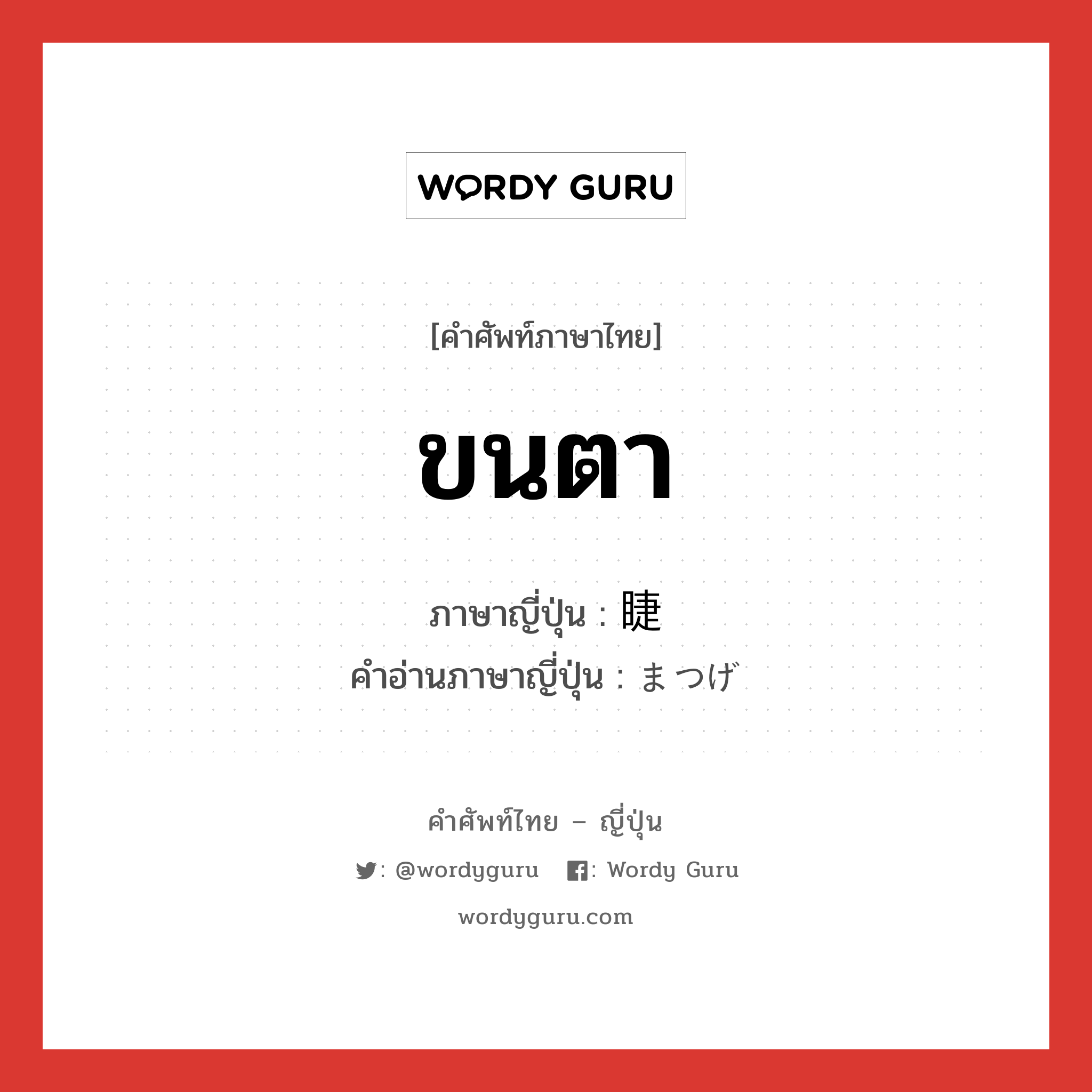 ขนตา ภาษาญี่ปุ่นคืออะไร, คำศัพท์ภาษาไทย - ญี่ปุ่น ขนตา ภาษาญี่ปุ่น 睫 คำอ่านภาษาญี่ปุ่น まつげ หมวด n หมวด n