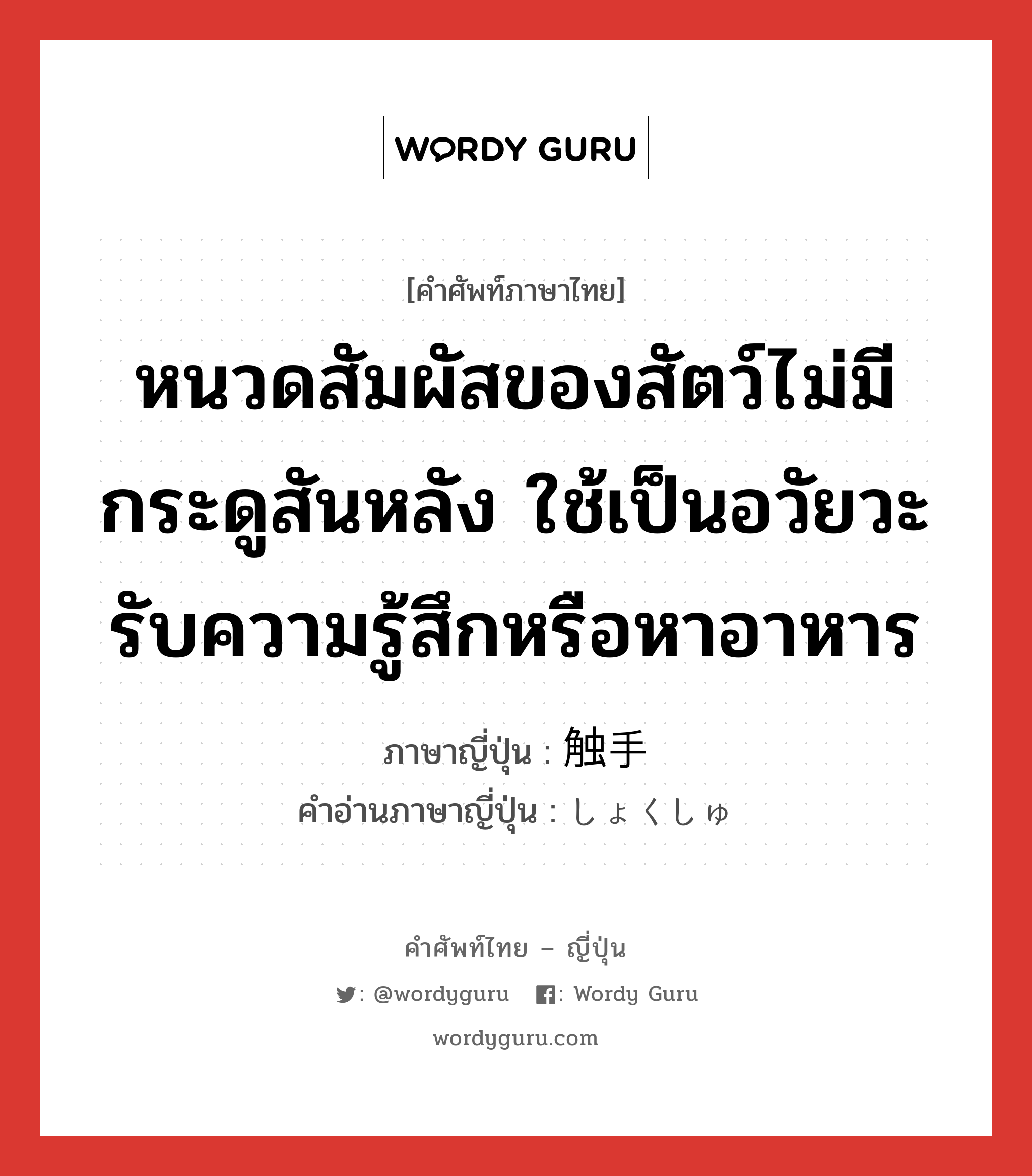 หนวดสัมผัสของสัตว์ไม่มีกระดูสันหลัง ใช้เป็นอวัยวะรับความรู้สึกหรือหาอาหาร ภาษาญี่ปุ่นคืออะไร, คำศัพท์ภาษาไทย - ญี่ปุ่น หนวดสัมผัสของสัตว์ไม่มีกระดูสันหลัง ใช้เป็นอวัยวะรับความรู้สึกหรือหาอาหาร ภาษาญี่ปุ่น 触手 คำอ่านภาษาญี่ปุ่น しょくしゅ หมวด n หมวด n