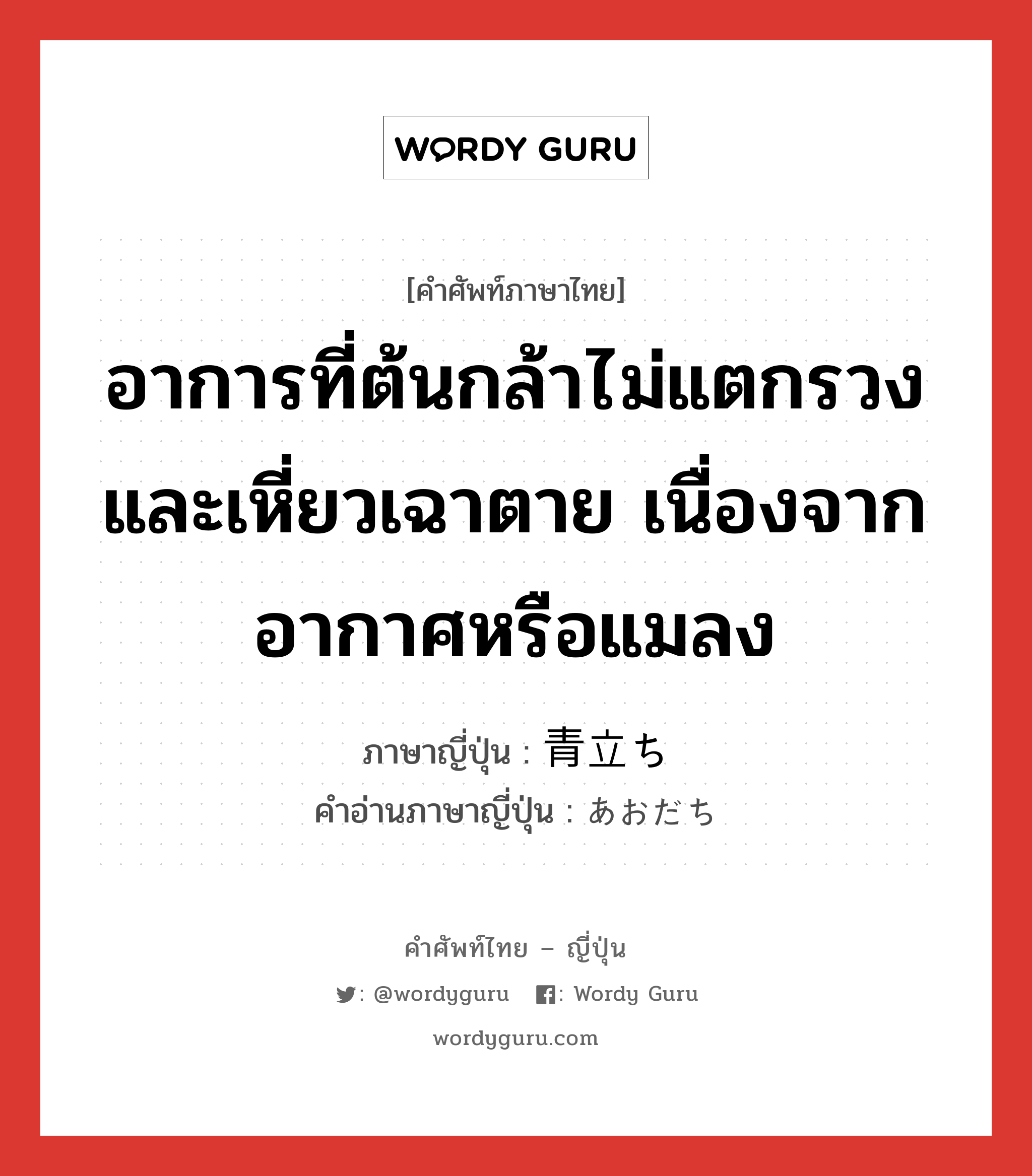 อาการที่ต้นกล้าไม่แตกรวงและเหี่ยวเฉาตาย เนื่องจากอากาศหรือแมลง ภาษาญี่ปุ่นคืออะไร, คำศัพท์ภาษาไทย - ญี่ปุ่น อาการที่ต้นกล้าไม่แตกรวงและเหี่ยวเฉาตาย เนื่องจากอากาศหรือแมลง ภาษาญี่ปุ่น 青立ち คำอ่านภาษาญี่ปุ่น あおだち หมวด n หมวด n