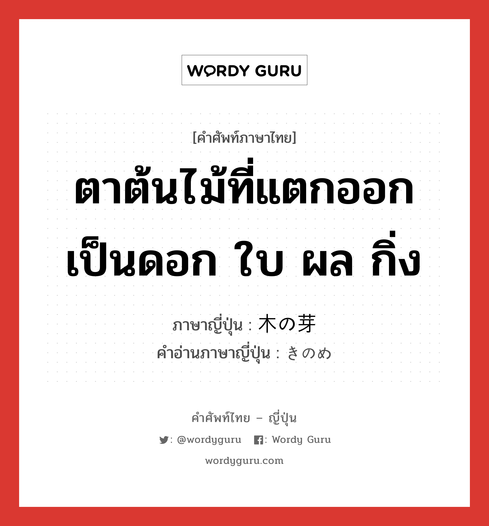 ตาต้นไม้ที่แตกออกเป็นดอก ใบ ผล กิ่ง ภาษาญี่ปุ่นคืออะไร, คำศัพท์ภาษาไทย - ญี่ปุ่น ตาต้นไม้ที่แตกออกเป็นดอก ใบ ผล กิ่ง ภาษาญี่ปุ่น 木の芽 คำอ่านภาษาญี่ปุ่น きのめ หมวด n หมวด n