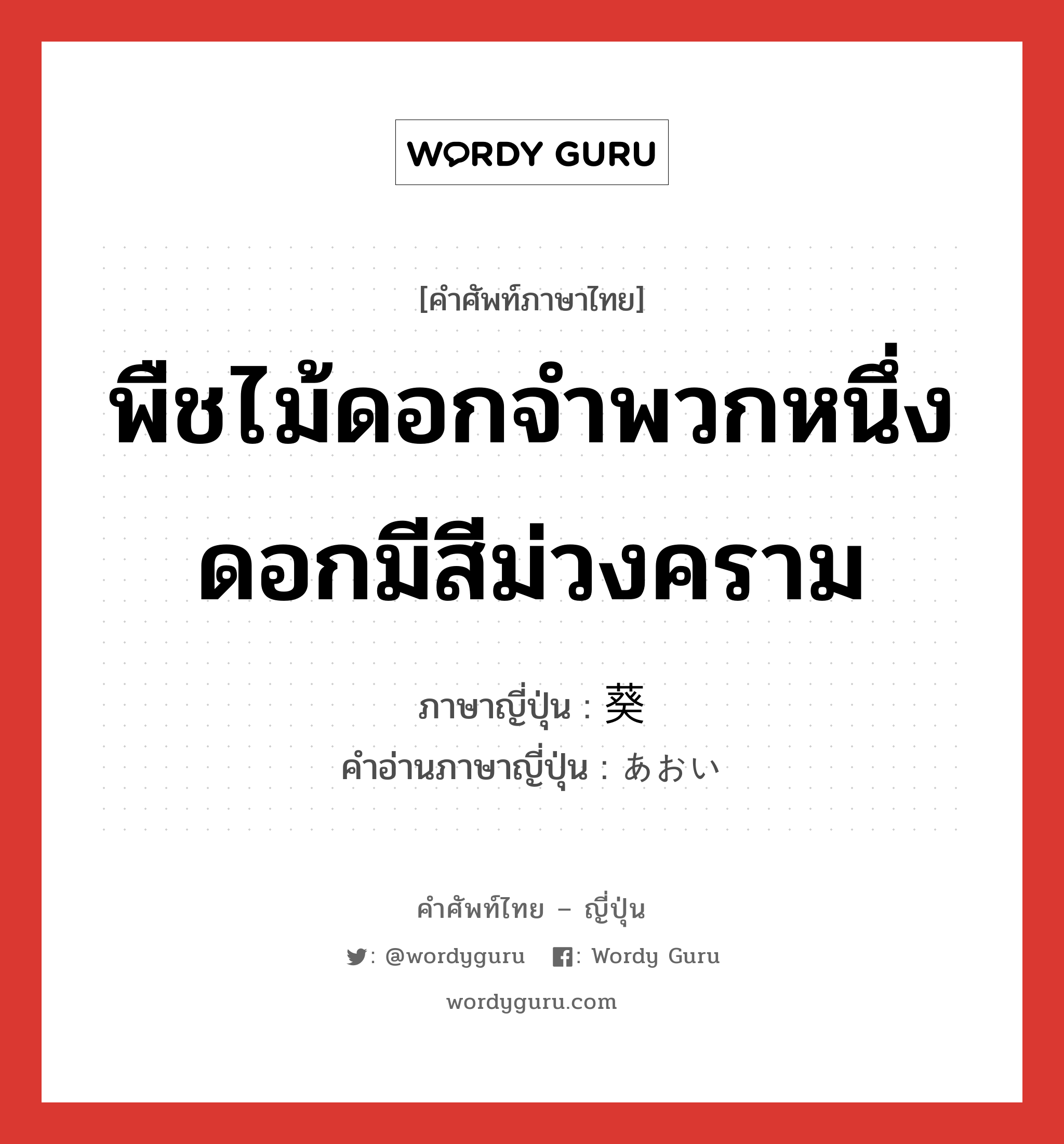 พืชไม้ดอกจำพวกหนึ่ง ดอกมีสีม่วงคราม ภาษาญี่ปุ่นคืออะไร, คำศัพท์ภาษาไทย - ญี่ปุ่น พืชไม้ดอกจำพวกหนึ่ง ดอกมีสีม่วงคราม ภาษาญี่ปุ่น 葵 คำอ่านภาษาญี่ปุ่น あおい หมวด n หมวด n