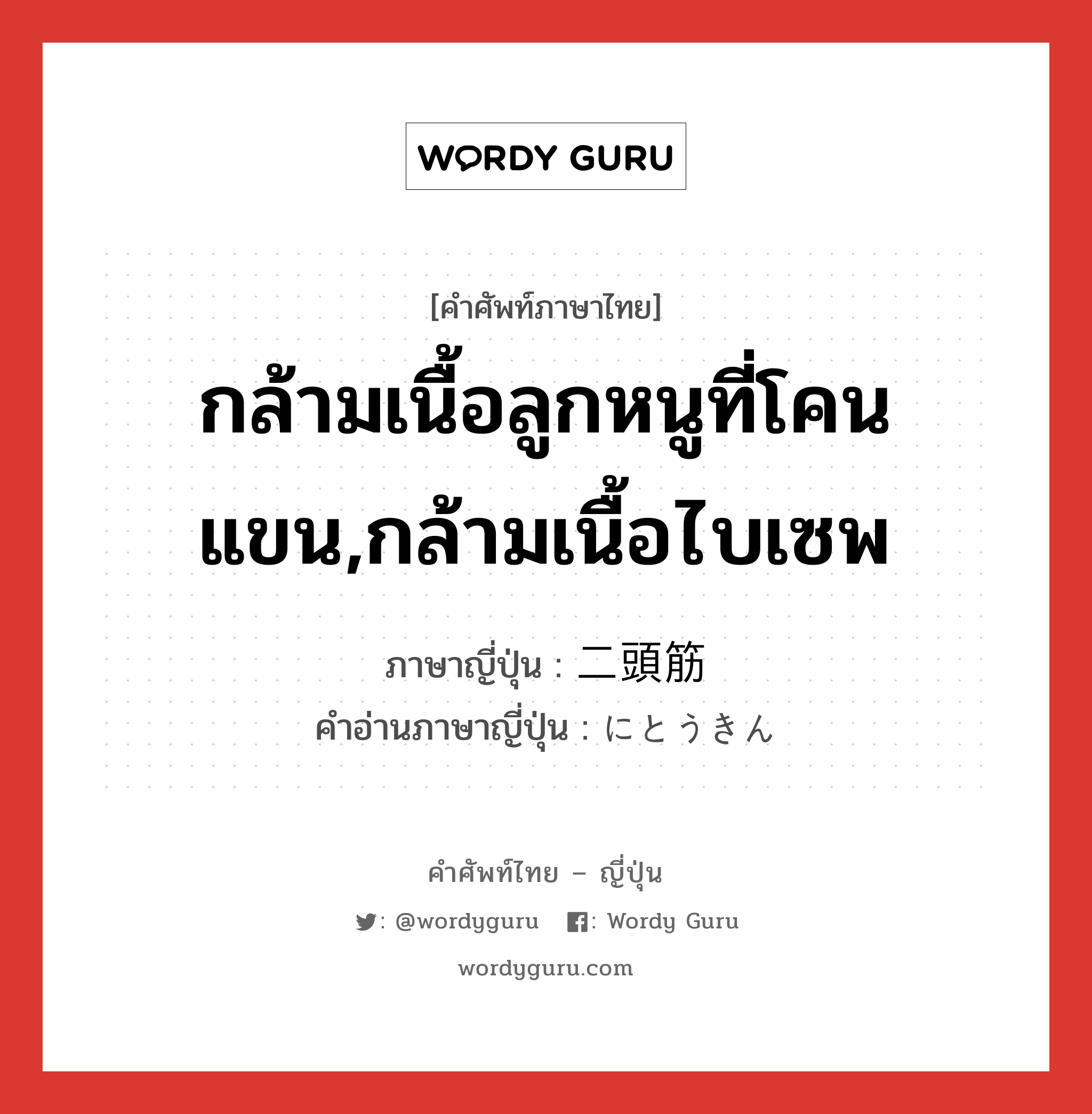 กล้ามเนื้อลูกหนูที่โคนแขน,กล้ามเนื้อไบเซพ ภาษาญี่ปุ่นคืออะไร, คำศัพท์ภาษาไทย - ญี่ปุ่น กล้ามเนื้อลูกหนูที่โคนแขน,กล้ามเนื้อไบเซพ ภาษาญี่ปุ่น 二頭筋 คำอ่านภาษาญี่ปุ่น にとうきん หมวด n หมวด n