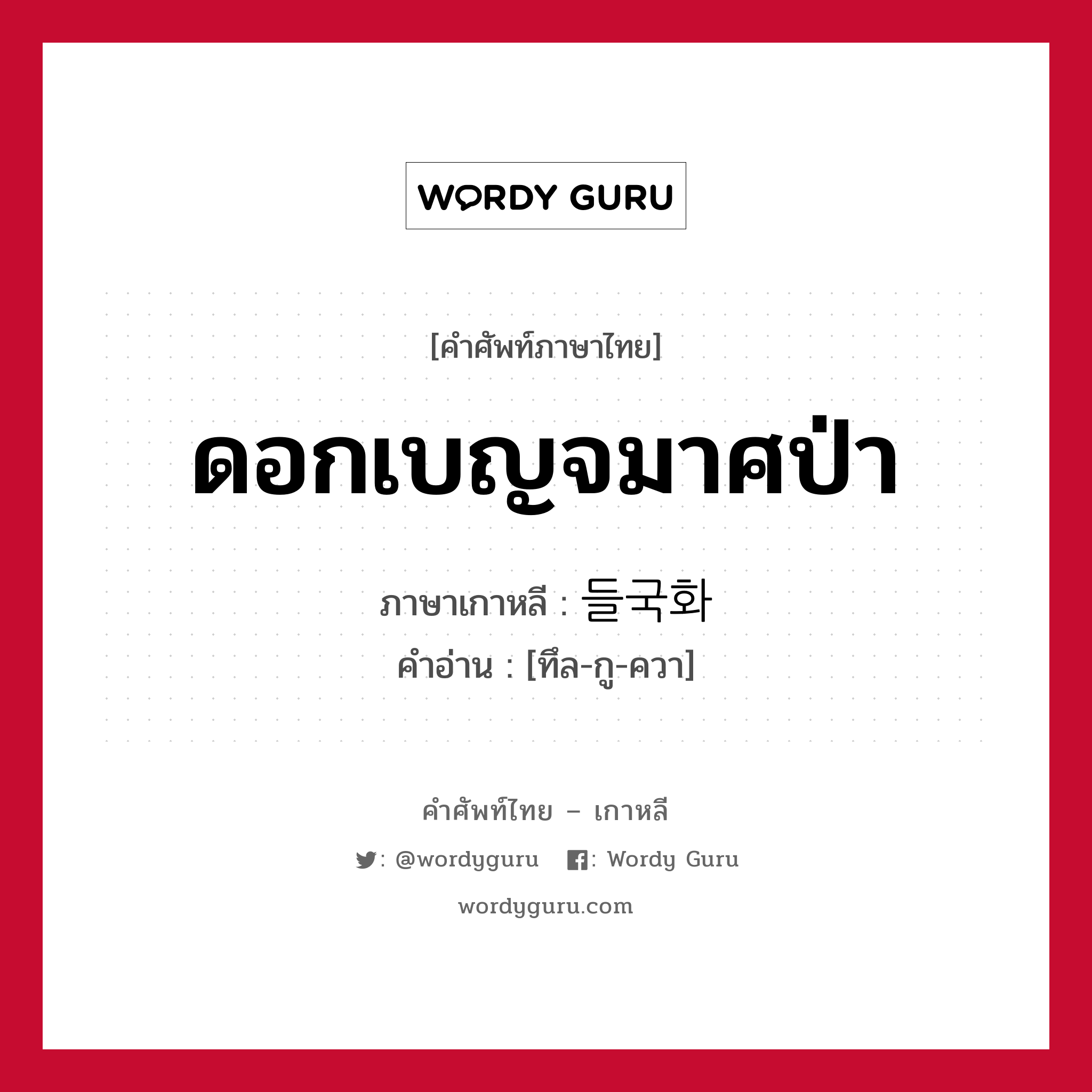 ดอกเบญจมาศป่า ภาษาเกาหลีคืออะไร, คำศัพท์ภาษาไทย - เกาหลี ดอกเบญจมาศป่า ภาษาเกาหลี 들국화 คำอ่าน [ทึล-กู-ควา]