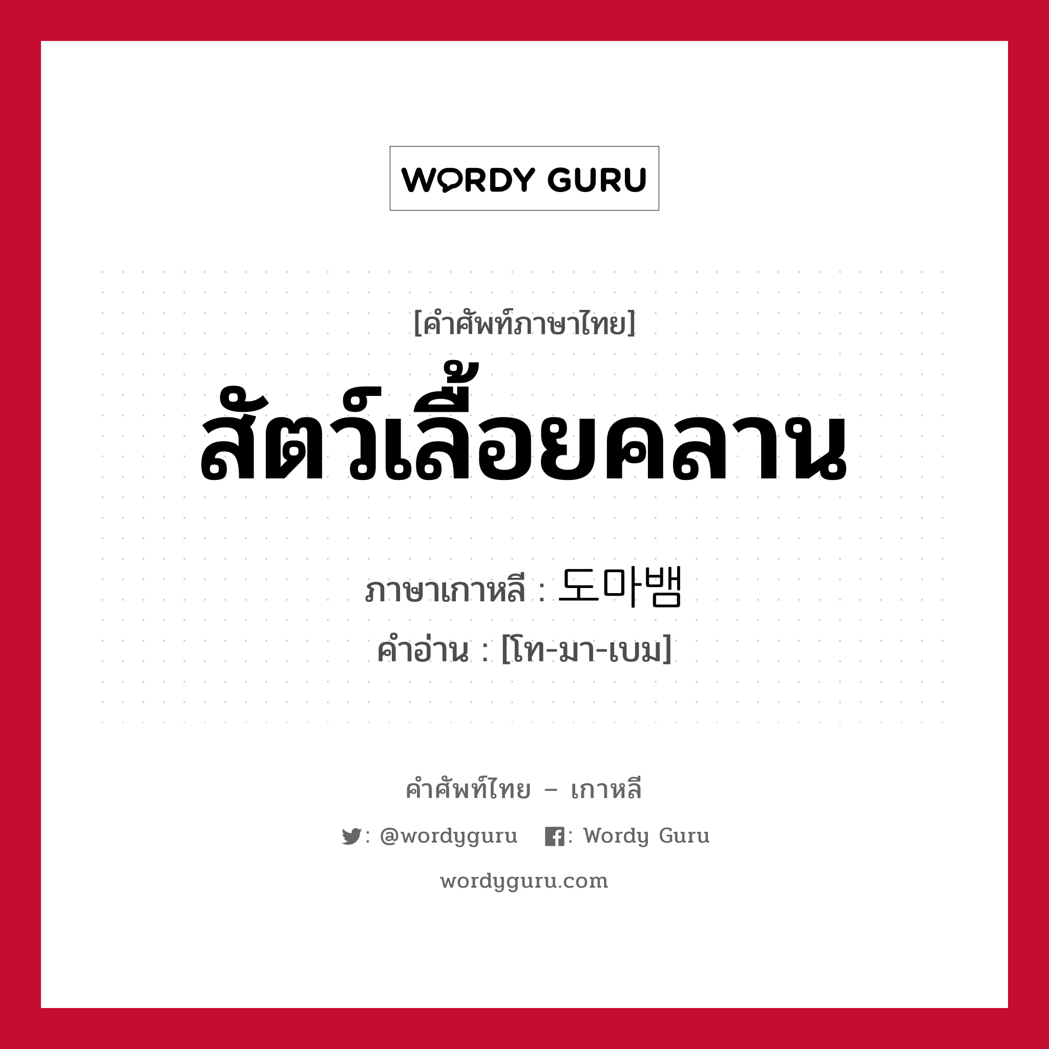 สัตว์เลื้อยคลาน ภาษาเกาหลีคืออะไร, คำศัพท์ภาษาไทย - เกาหลี สัตว์เลื้อยคลาน ภาษาเกาหลี 도마뱀 คำอ่าน [โท-มา-เบม]