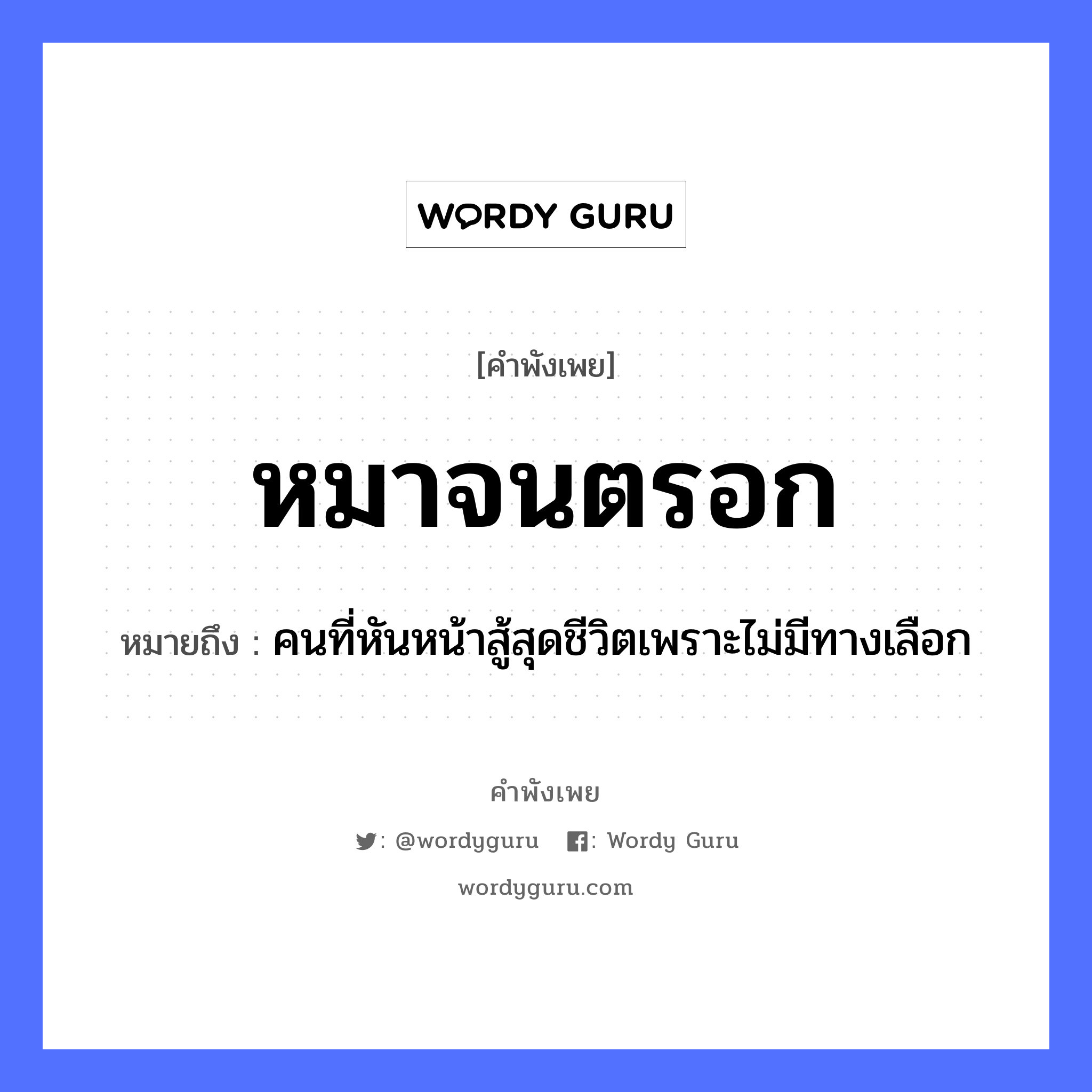 สำนวนไทย: หมาจนตรอก หมายถึง?, สํานวนไทย หมาจนตรอก หมายถึง คนที่หันหน้าสู้สุดชีวิตเพราะไม่มีทางเลือก คำนาม คน สัตว์ หมา อวัยวะ หน้า คำกริยา สู้