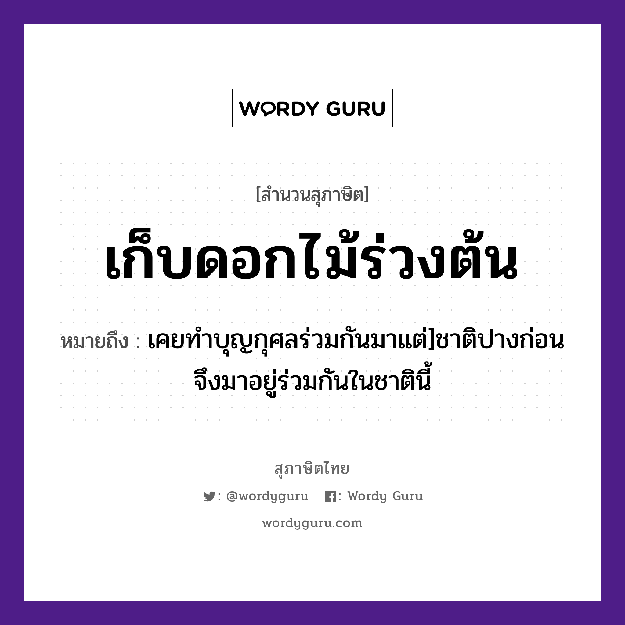 เก็บดอกไม้ร่วงต้น ความหมายคืออะไร ใช้ยังไง, สํานวนสุภาษิต เก็บดอกไม้ร่วงต้น หมายถึง เคยทำบุญกุศลร่วมกันมาแต่]ชาติปางก่อนจึงมาอยู่ร่วมกันในชาตินี้ ธรรมชาติ ไม้