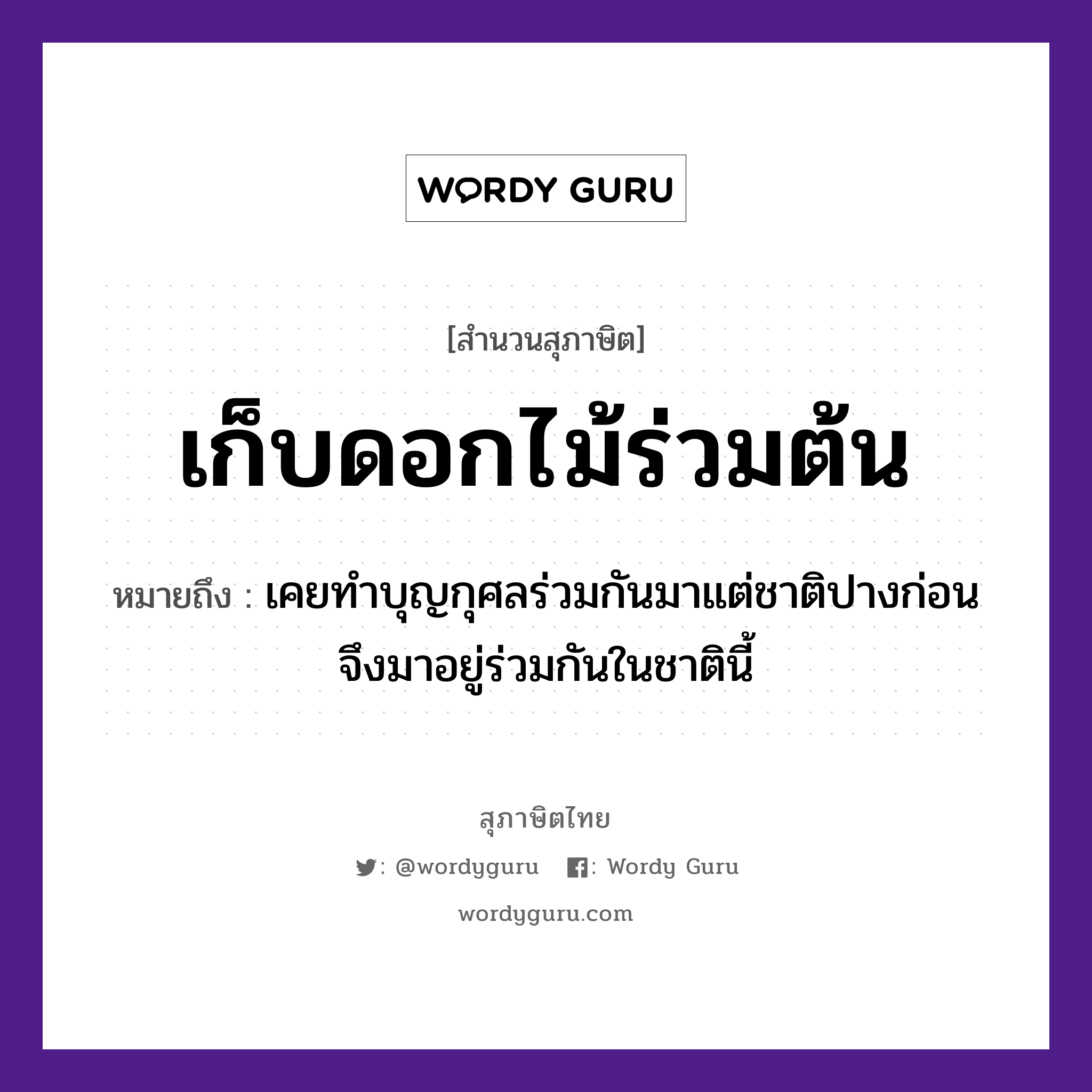 สำนวนไทย: เก็บดอกไม้ร่วมต้น หมายถึง?, สํานวนไทย เก็บดอกไม้ร่วมต้น หมายถึง เคยทำบุญกุศลร่วมกันมาแต่ชาติปางก่อน จึงมาอยู่ร่วมกันในชาตินี้ ธรรมชาติ ไม้