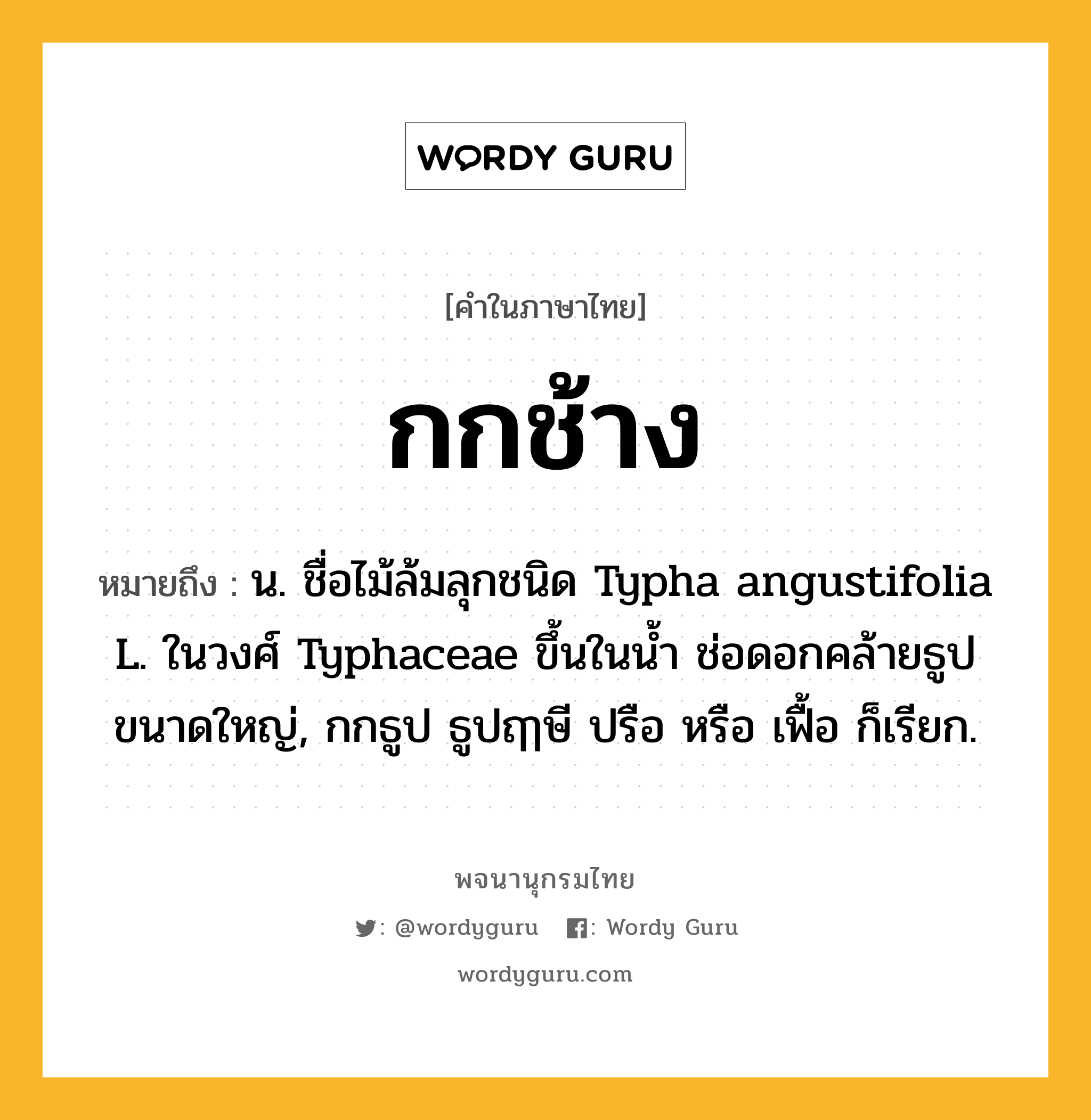 กกช้าง หมายถึงอะไร?, คำในภาษาไทย กกช้าง หมายถึง น. ชื่อไม้ล้มลุกชนิด Typha angustifolia L. ในวงศ์ Typhaceae ขึ้นในนํ้า ช่อดอกคล้ายธูปขนาดใหญ่, กกธูป ธูปฤๅษี ปรือ หรือ เฟื้อ ก็เรียก.