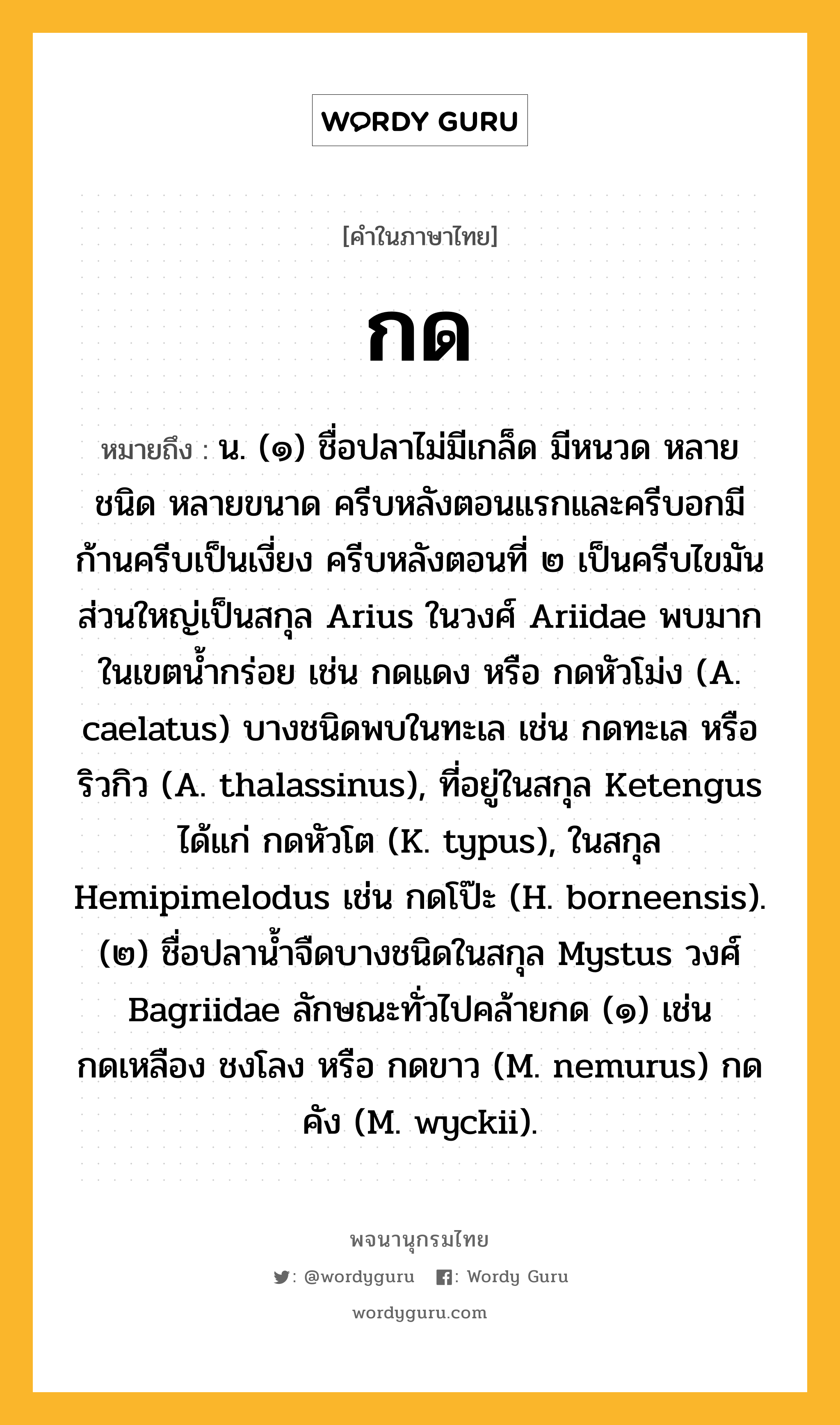 กด หมายถึงอะไร?, คำในภาษาไทย กด หมายถึง น. (๑) ชื่อปลาไม่มีเกล็ด มีหนวด หลายชนิด หลายขนาด ครีบหลังตอนแรกและครีบอกมีก้านครีบเป็นเงี่ยง ครีบหลังตอนที่ ๒ เป็นครีบไขมัน ส่วนใหญ่เป็นสกุล Arius ในวงศ์ Ariidae พบมากในเขตนํ้ากร่อย เช่น กดแดง หรือ กดหัวโม่ง (A. caelatus) บางชนิดพบในทะเล เช่น กดทะเล หรือ ริวกิว (A. thalassinus), ที่อยู่ในสกุล Ketengus ได้แก่ กดหัวโต (K. typus), ในสกุล Hemipimelodus เช่น กดโป๊ะ (H. borneensis). (๒) ชื่อปลานํ้าจืดบางชนิดในสกุล Mystus วงศ์ Bagriidae ลักษณะทั่วไปคล้ายกด (๑) เช่น กดเหลือง ชงโลง หรือ กดขาว (M. nemurus) กดคัง (M. wyckii).