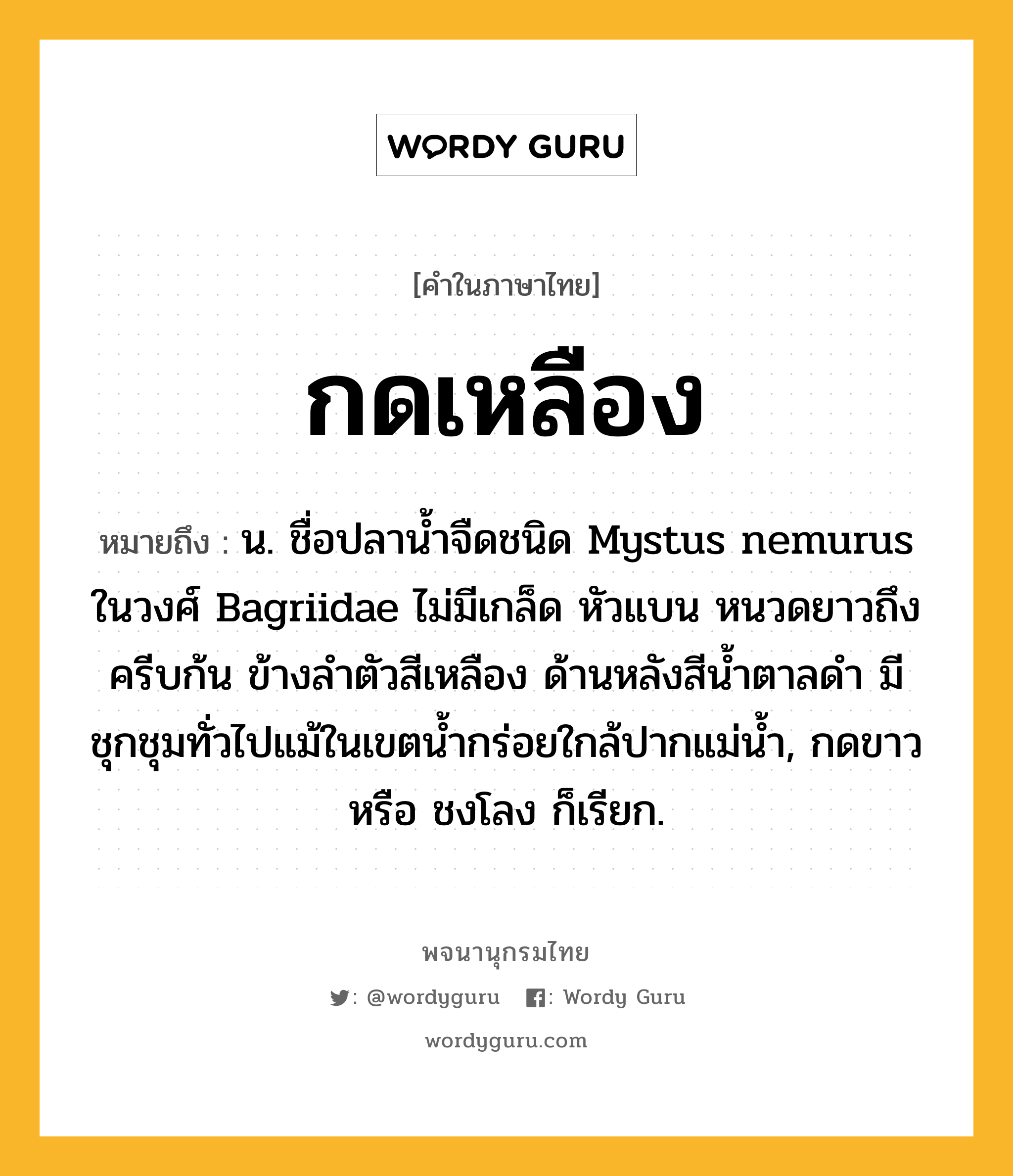 กดเหลือง หมายถึงอะไร?, คำในภาษาไทย กดเหลือง หมายถึง น. ชื่อปลาน้ำจืดชนิด Mystus nemurus ในวงศ์ Bagriidae ไม่มีเกล็ด หัวแบน หนวดยาวถึงครีบก้น ข้างลำตัวสีเหลือง ด้านหลังสีน้ำตาลดำ มีชุกชุมทั่วไปแม้ในเขตน้ำกร่อยใกล้ปากแม่น้ำ, กดขาว หรือ ชงโลง ก็เรียก.