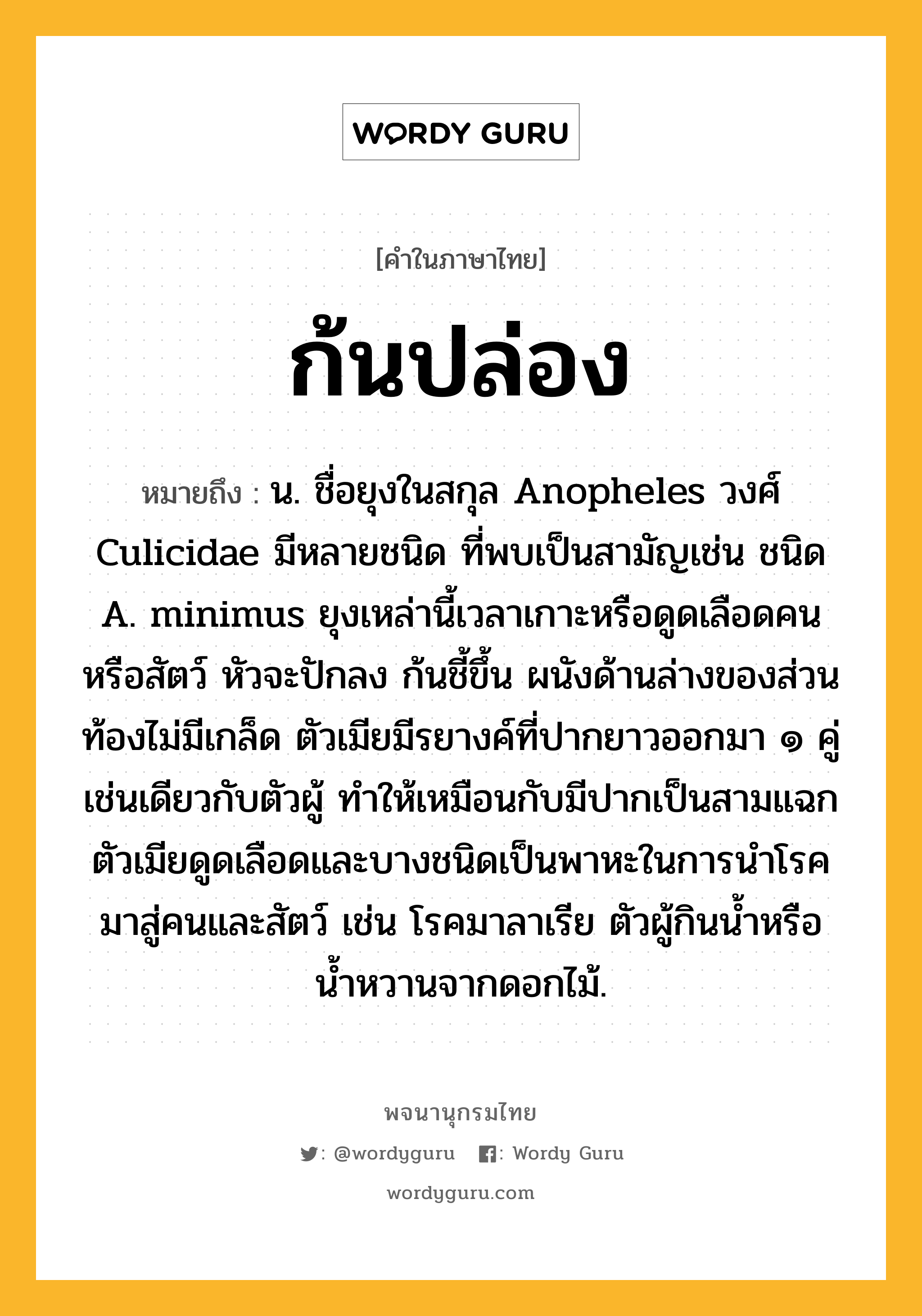 ก้นปล่อง หมายถึงอะไร?, คำในภาษาไทย ก้นปล่อง หมายถึง น. ชื่อยุงในสกุล Anopheles วงศ์ Culicidae มีหลายชนิด ที่พบเป็นสามัญเช่น ชนิด A. minimus ยุงเหล่านี้เวลาเกาะหรือดูดเลือดคนหรือสัตว์ หัวจะปักลง ก้นชี้ขึ้น ผนังด้านล่างของส่วนท้องไม่มีเกล็ด ตัวเมียมีรยางค์ที่ปากยาวออกมา ๑ คู่ เช่นเดียวกับตัวผู้ ทําให้เหมือนกับมีปากเป็นสามแฉก ตัวเมียดูดเลือดและบางชนิดเป็นพาหะในการนําโรคมาสู่คนและสัตว์ เช่น โรคมาลาเรีย ตัวผู้กินนํ้าหรือนํ้าหวานจากดอกไม้.