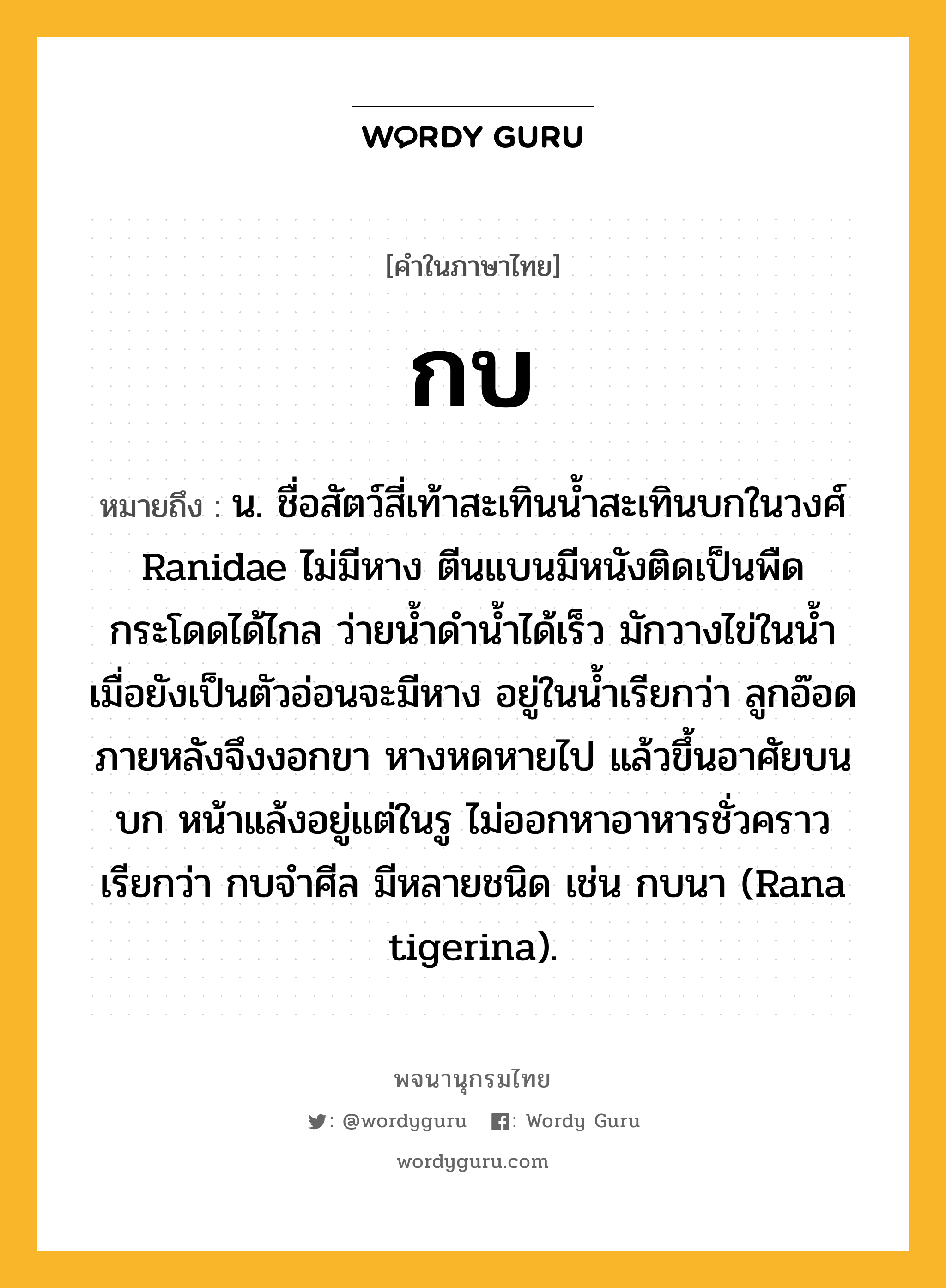 กบ หมายถึงอะไร?, คำในภาษาไทย กบ หมายถึง น. ชื่อสัตว์สี่เท้าสะเทินนํ้าสะเทินบกในวงศ์ Ranidae ไม่มีหาง ตีนแบนมีหนังติดเป็นพืด กระโดดได้ไกล ว่ายนํ้าดํานํ้าได้เร็ว มักวางไข่ในนํ้า เมื่อยังเป็นตัวอ่อนจะมีหาง อยู่ในนํ้าเรียกว่า ลูกอ๊อด ภายหลังจึงงอกขา หางหดหายไป แล้วขึ้นอาศัยบนบก หน้าแล้งอยู่แต่ในรู ไม่ออกหาอาหารชั่วคราว เรียกว่า กบจําศีล มีหลายชนิด เช่น กบนา (Rana tigerina).