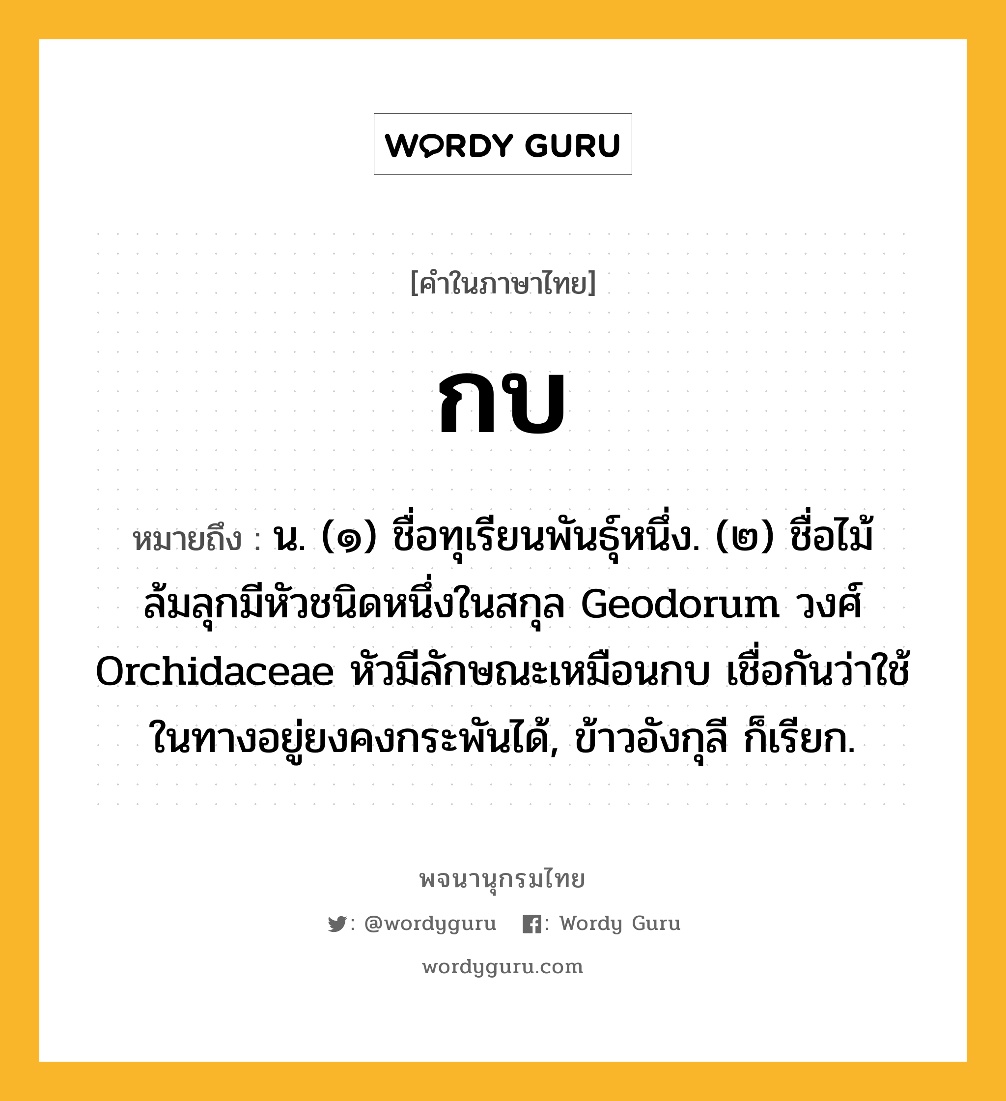 กบ หมายถึงอะไร?, คำในภาษาไทย กบ หมายถึง น. (๑) ชื่อทุเรียนพันธุ์หนึ่ง. (๒) ชื่อไม้ล้มลุกมีหัวชนิดหนึ่งในสกุล Geodorum วงศ์ Orchidaceae หัวมีลักษณะเหมือนกบ เชื่อกันว่าใช้ในทางอยู่ยงคงกระพันได้, ข้าวอังกุลี ก็เรียก.