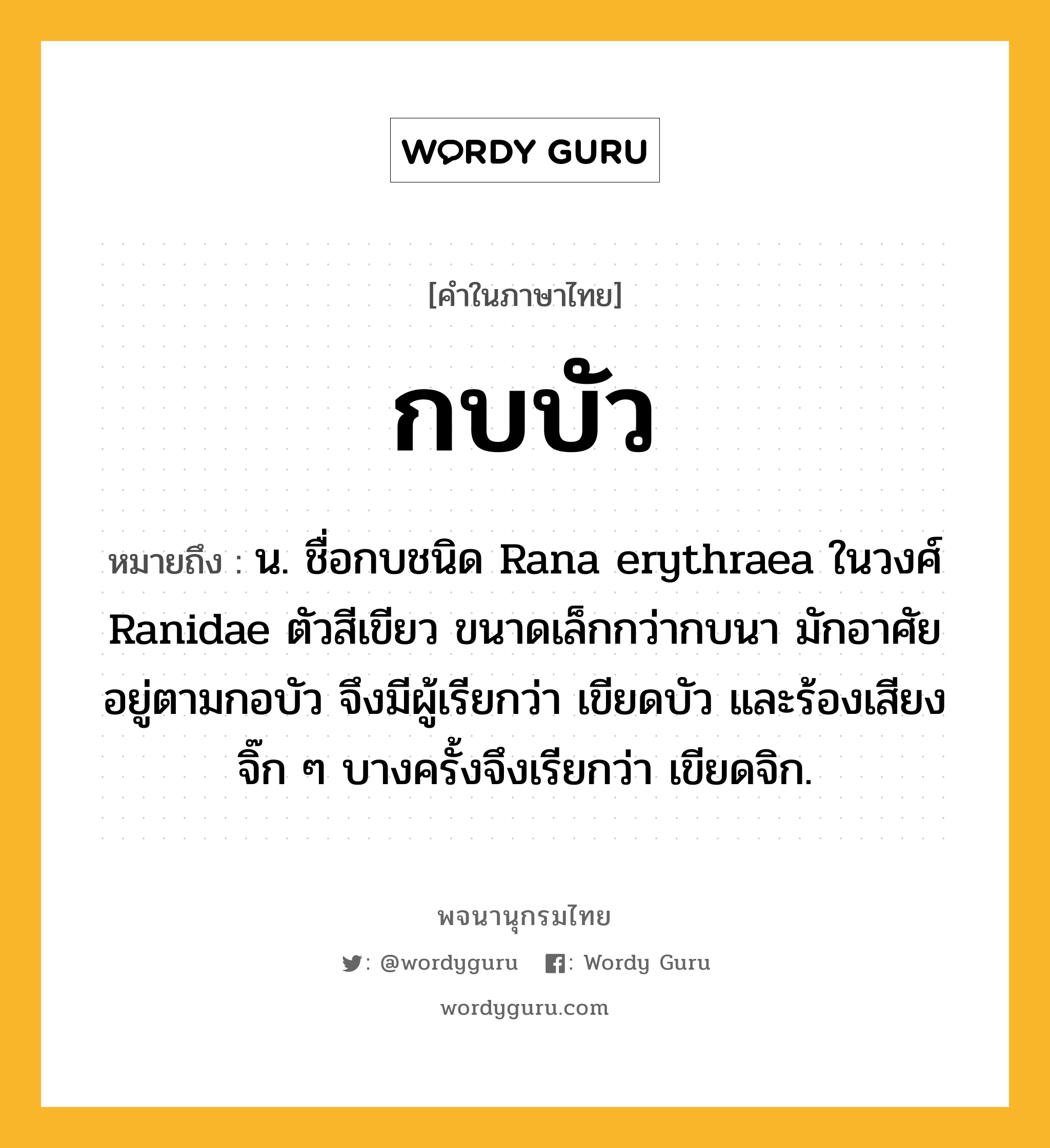 กบบัว ความหมาย หมายถึงอะไร?, คำในภาษาไทย กบบัว หมายถึง น. ชื่อกบชนิด Rana erythraea ในวงศ์ Ranidae ตัวสีเขียว ขนาดเล็กกว่ากบนา มักอาศัยอยู่ตามกอบัว จึงมีผู้เรียกว่า เขียดบัว และร้องเสียงจิ๊ก ๆ บางครั้งจึงเรียกว่า เขียดจิก.