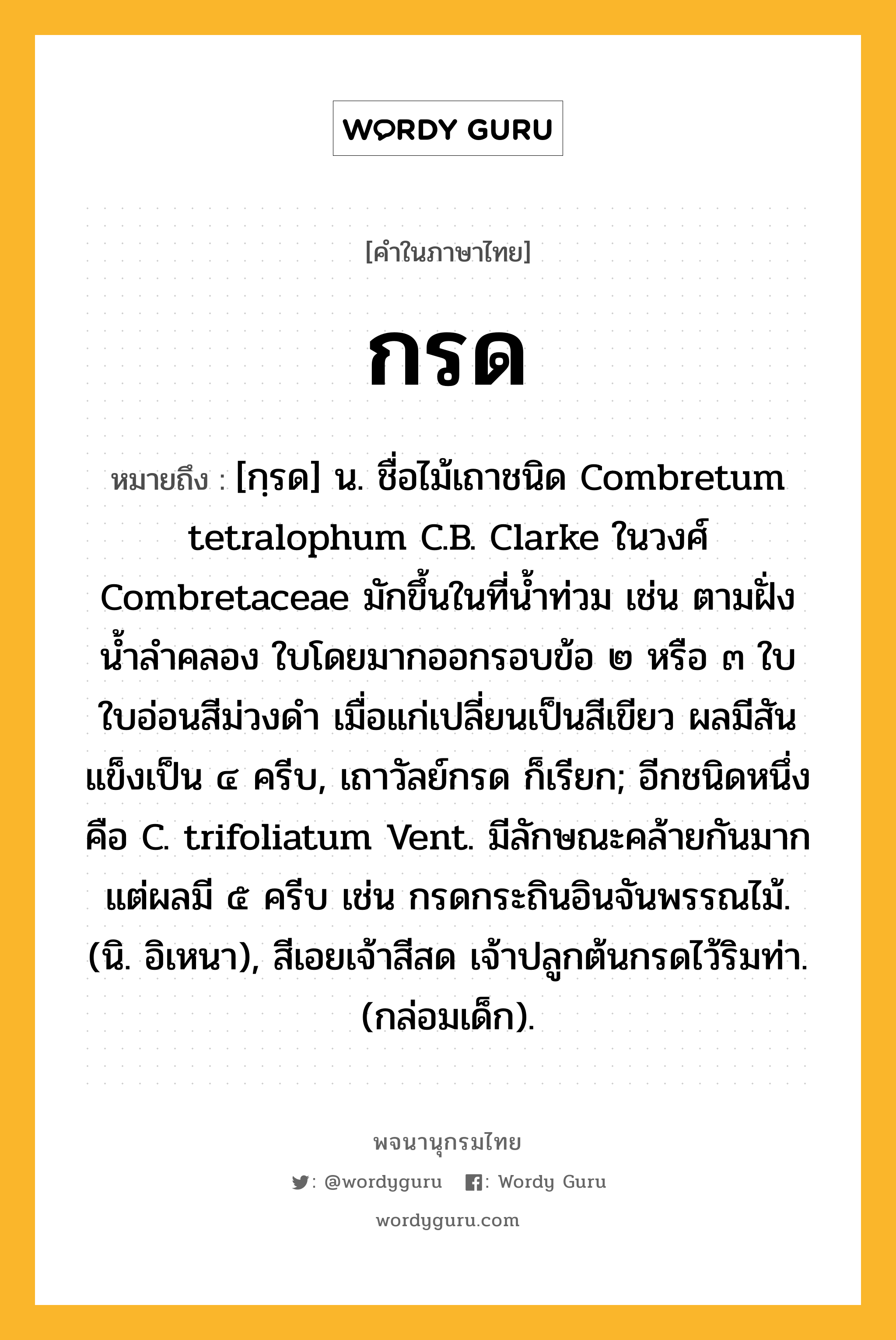 กรด ความหมาย หมายถึงอะไร?, คำในภาษาไทย กรด หมายถึง [กฺรด] น. ชื่อไม้เถาชนิด Combretum tetralophum C.B. Clarke ในวงศ์ Combretaceae มักขึ้นในที่นํ้าท่วม เช่น ตามฝั่งนํ้าลําคลอง ใบโดยมากออกรอบข้อ ๒ หรือ ๓ ใบ ใบอ่อนสีม่วงดํา เมื่อแก่เปลี่ยนเป็นสีเขียว ผลมีสันแข็งเป็น ๔ ครีบ, เถาวัลย์กรด ก็เรียก; อีกชนิดหนึ่ง คือ C. trifoliatum Vent. มีลักษณะคล้ายกันมาก แต่ผลมี ๕ ครีบ เช่น กรดกระถินอินจันพรรณไม้. (นิ. อิเหนา), สีเอยเจ้าสีสด เจ้าปลูกต้นกรดไว้ริมท่า. (กล่อมเด็ก).