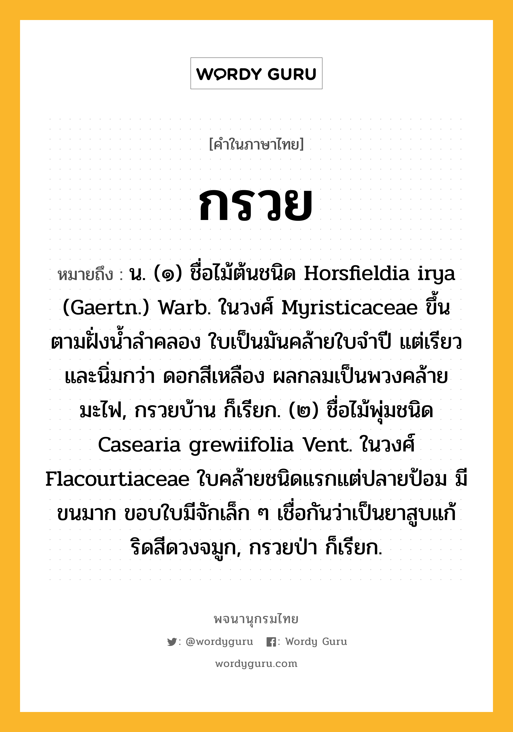 กรวย หมายถึงอะไร?, คำในภาษาไทย กรวย หมายถึง น. (๑) ชื่อไม้ต้นชนิด Horsfieldia irya (Gaertn.) Warb. ในวงศ์ Myristicaceae ขึ้นตามฝั่งนํ้าลําคลอง ใบเป็นมันคล้ายใบจําปี แต่เรียวและนิ่มกว่า ดอกสีเหลือง ผลกลมเป็นพวงคล้ายมะไฟ, กรวยบ้าน ก็เรียก. (๒) ชื่อไม้พุ่มชนิด Casearia grewiifolia Vent. ในวงศ์ Flacourtiaceae ใบคล้ายชนิดแรกแต่ปลายป้อม มีขนมาก ขอบใบมีจักเล็ก ๆ เชื่อกันว่าเป็นยาสูบแก้ริดสีดวงจมูก, กรวยป่า ก็เรียก.