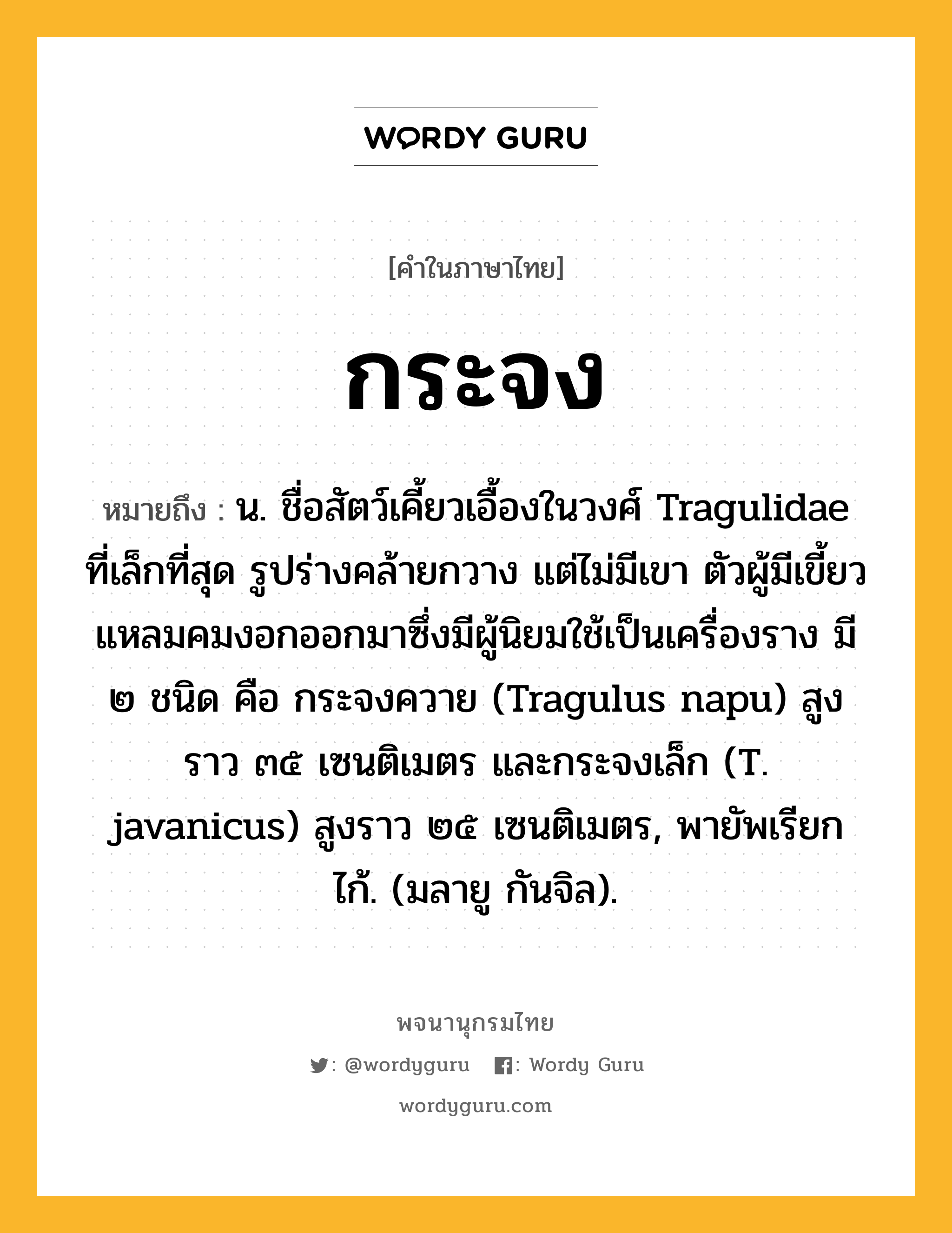 กระจง หมายถึงอะไร?, คำในภาษาไทย กระจง หมายถึง น. ชื่อสัตว์เคี้ยวเอื้องในวงศ์ Tragulidae ที่เล็กที่สุด รูปร่างคล้ายกวาง แต่ไม่มีเขา ตัวผู้มีเขี้ยวแหลมคมงอกออกมาซึ่งมีผู้นิยมใช้เป็นเครื่องราง มี ๒ ชนิด คือ กระจงควาย (Tragulus napu) สูงราว ๓๕ เซนติเมตร และกระจงเล็ก (T. javanicus) สูงราว ๒๕ เซนติเมตร, พายัพเรียก ไก้. (มลายู กันจิล).