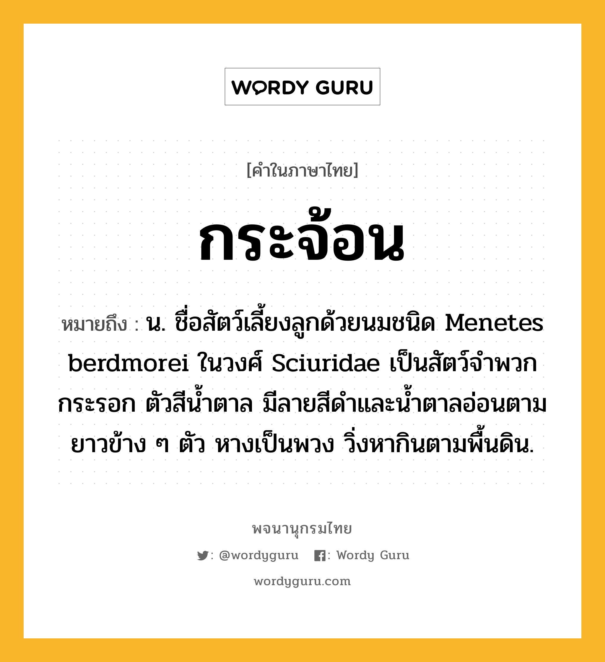 กระจ้อน หมายถึงอะไร?, คำในภาษาไทย กระจ้อน หมายถึง น. ชื่อสัตว์เลี้ยงลูกด้วยนมชนิด Menetes berdmorei ในวงศ์ Sciuridae เป็นสัตว์จำพวกกระรอก ตัวสีนํ้าตาล มีลายสีดําและนํ้าตาลอ่อนตามยาวข้าง ๆ ตัว หางเป็นพวง วิ่งหากินตามพื้นดิน.