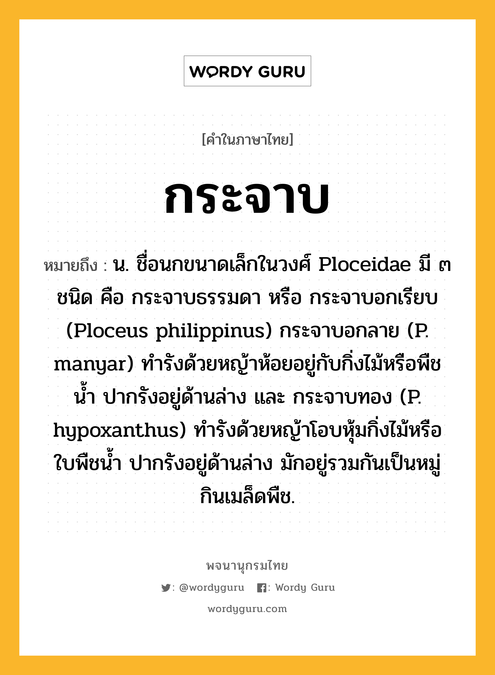 กระจาบ หมายถึงอะไร?, คำในภาษาไทย กระจาบ หมายถึง น. ชื่อนกขนาดเล็กในวงศ์ Ploceidae มี ๓ ชนิด คือ กระจาบธรรมดา หรือ กระจาบอกเรียบ (Ploceus philippinus) กระจาบอกลาย (P. manyar) ทำรังด้วยหญ้าห้อยอยู่กับกิ่งไม้หรือพืชน้ำ ปากรังอยู่ด้านล่าง และ กระจาบทอง (P. hypoxanthus) ทํารังด้วยหญ้าโอบหุ้มกิ่งไม้หรือใบพืชน้ำ ปากรังอยู่ด้านล่าง มักอยู่รวมกันเป็นหมู่ กินเมล็ดพืช.