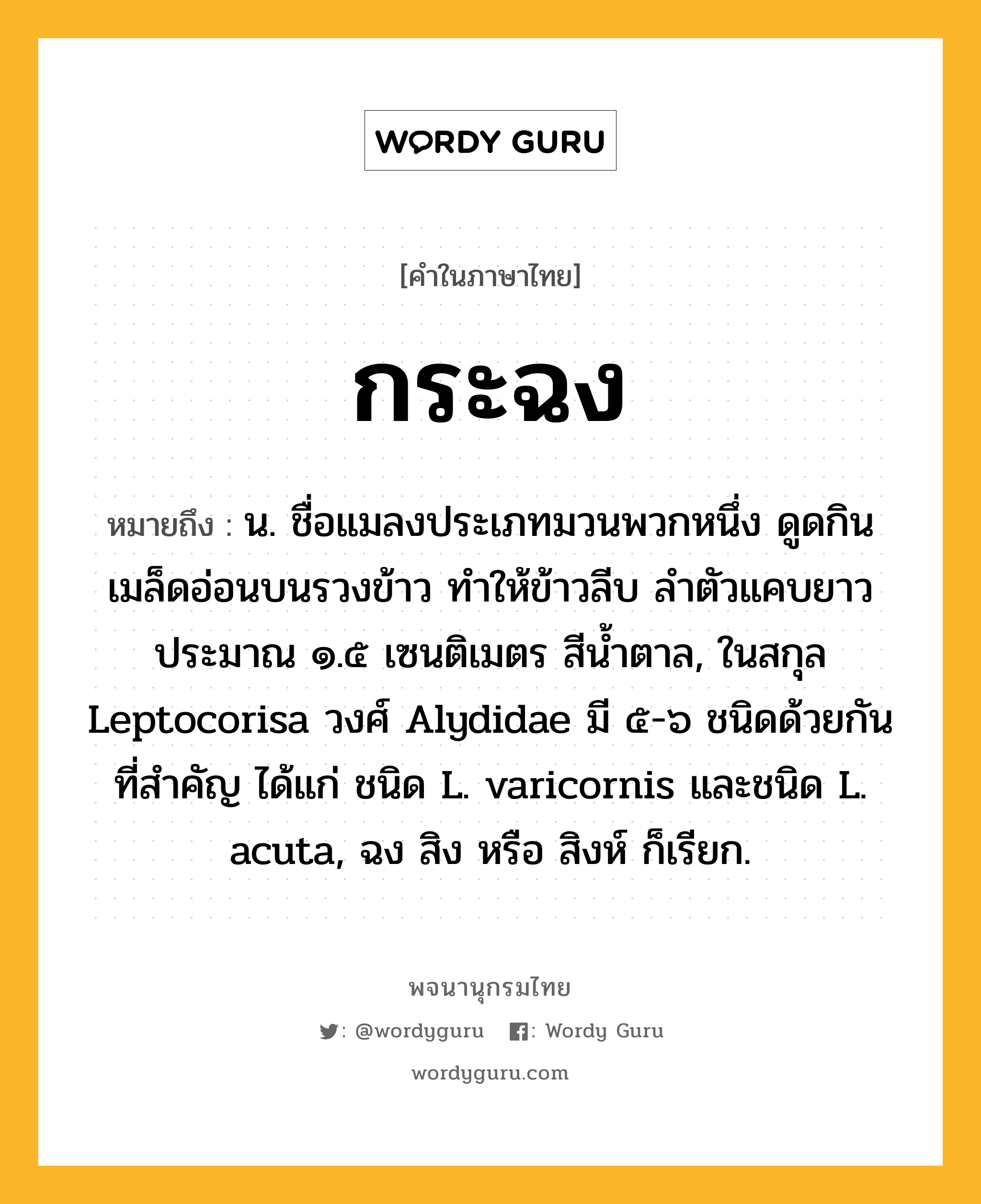 กระฉง หมายถึงอะไร?, คำในภาษาไทย กระฉง หมายถึง น. ชื่อแมลงประเภทมวนพวกหนึ่ง ดูดกินเมล็ดอ่อนบนรวงข้าว ทําให้ข้าวลีบ ลําตัวแคบยาวประมาณ ๑.๕ เซนติเมตร สีนํ้าตาล, ในสกุล Leptocorisa วงศ์ Alydidae มี ๕-๖ ชนิดด้วยกัน ที่สําคัญ ได้แก่ ชนิด L. varicornis และชนิด L. acuta, ฉง สิง หรือ สิงห์ ก็เรียก.