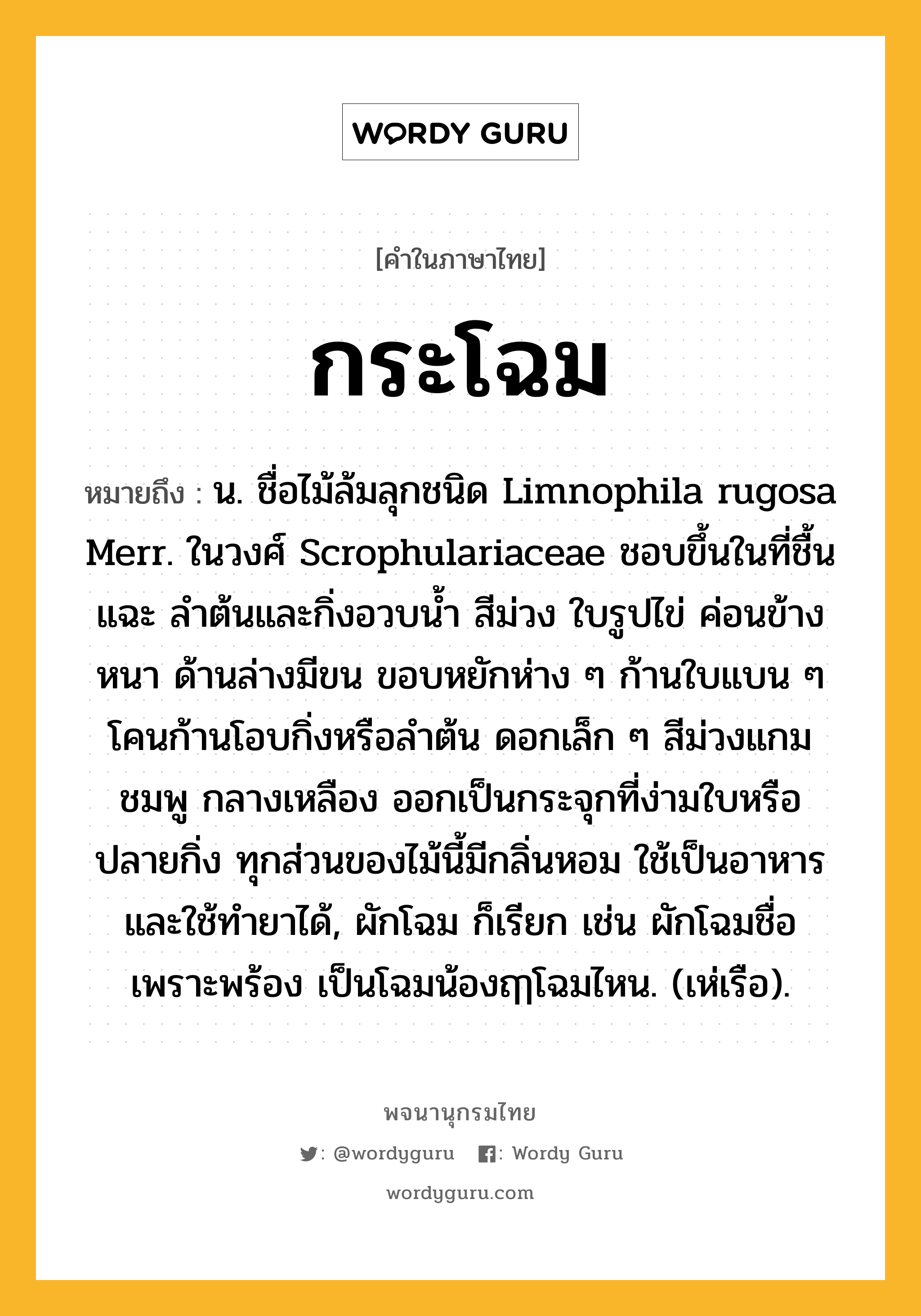 กระโฉม หมายถึงอะไร?, คำในภาษาไทย กระโฉม หมายถึง น. ชื่อไม้ล้มลุกชนิด Limnophila rugosa Merr. ในวงศ์ Scrophulariaceae ชอบขึ้นในที่ชื้นแฉะ ลําต้นและกิ่งอวบน้ำ สีม่วง ใบรูปไข่ ค่อนข้างหนา ด้านล่างมีขน ขอบหยักห่าง ๆ ก้านใบแบน ๆ โคนก้านโอบกิ่งหรือลําต้น ดอกเล็ก ๆ สีม่วงแกมชมพู กลางเหลือง ออกเป็นกระจุกที่ง่ามใบหรือปลายกิ่ง ทุกส่วนของไม้นี้มีกลิ่นหอม ใช้เป็นอาหาร และใช้ทํายาได้, ผักโฉม ก็เรียก เช่น ผักโฉมชื่อเพราะพร้อง เป็นโฉมน้องฤๅโฉมไหน. (เห่เรือ).