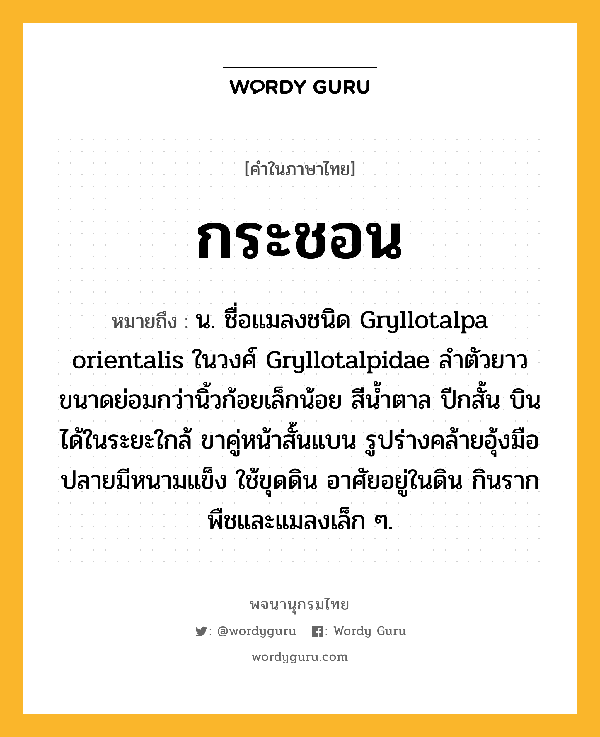 กระชอน หมายถึงอะไร?, คำในภาษาไทย กระชอน หมายถึง น. ชื่อแมลงชนิด Gryllotalpa orientalis ในวงศ์ Gryllotalpidae ลําตัวยาว ขนาดย่อมกว่านิ้วก้อยเล็กน้อย สีนํ้าตาล ปีกสั้น บินได้ในระยะใกล้ ขาคู่หน้าสั้นแบน รูปร่างคล้ายอุ้งมือ ปลายมีหนามแข็ง ใช้ขุดดิน อาศัยอยู่ในดิน กินรากพืชและแมลงเล็ก ๆ.