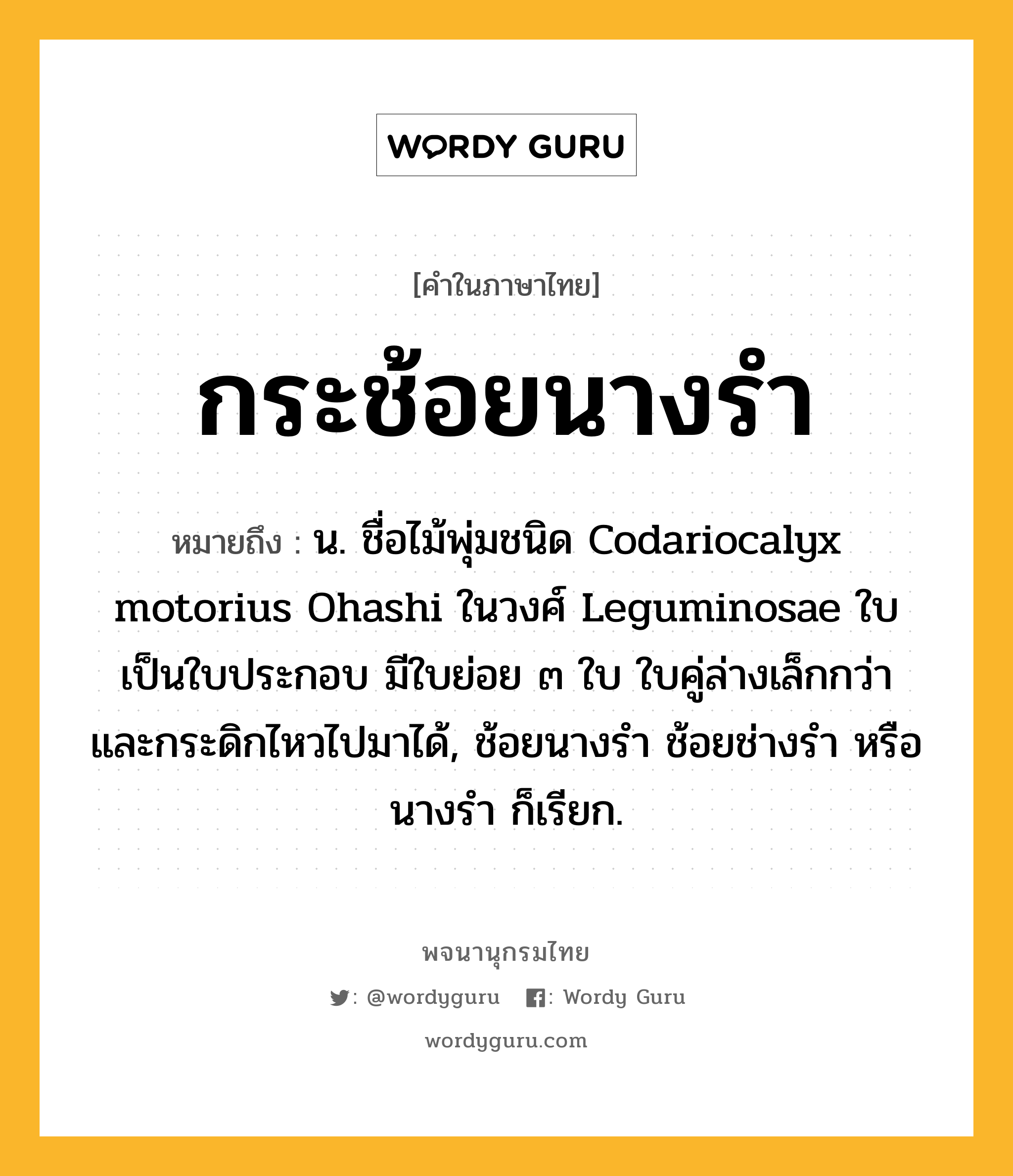 กระช้อยนางรำ หมายถึงอะไร?, คำในภาษาไทย กระช้อยนางรำ หมายถึง น. ชื่อไม้พุ่มชนิด Codariocalyx motorius Ohashi ในวงศ์ Leguminosae ใบเป็นใบประกอบ มีใบย่อย ๓ ใบ ใบคู่ล่างเล็กกว่าและกระดิกไหวไปมาได้, ช้อยนางรํา ช้อยช่างรํา หรือ นางรํา ก็เรียก.