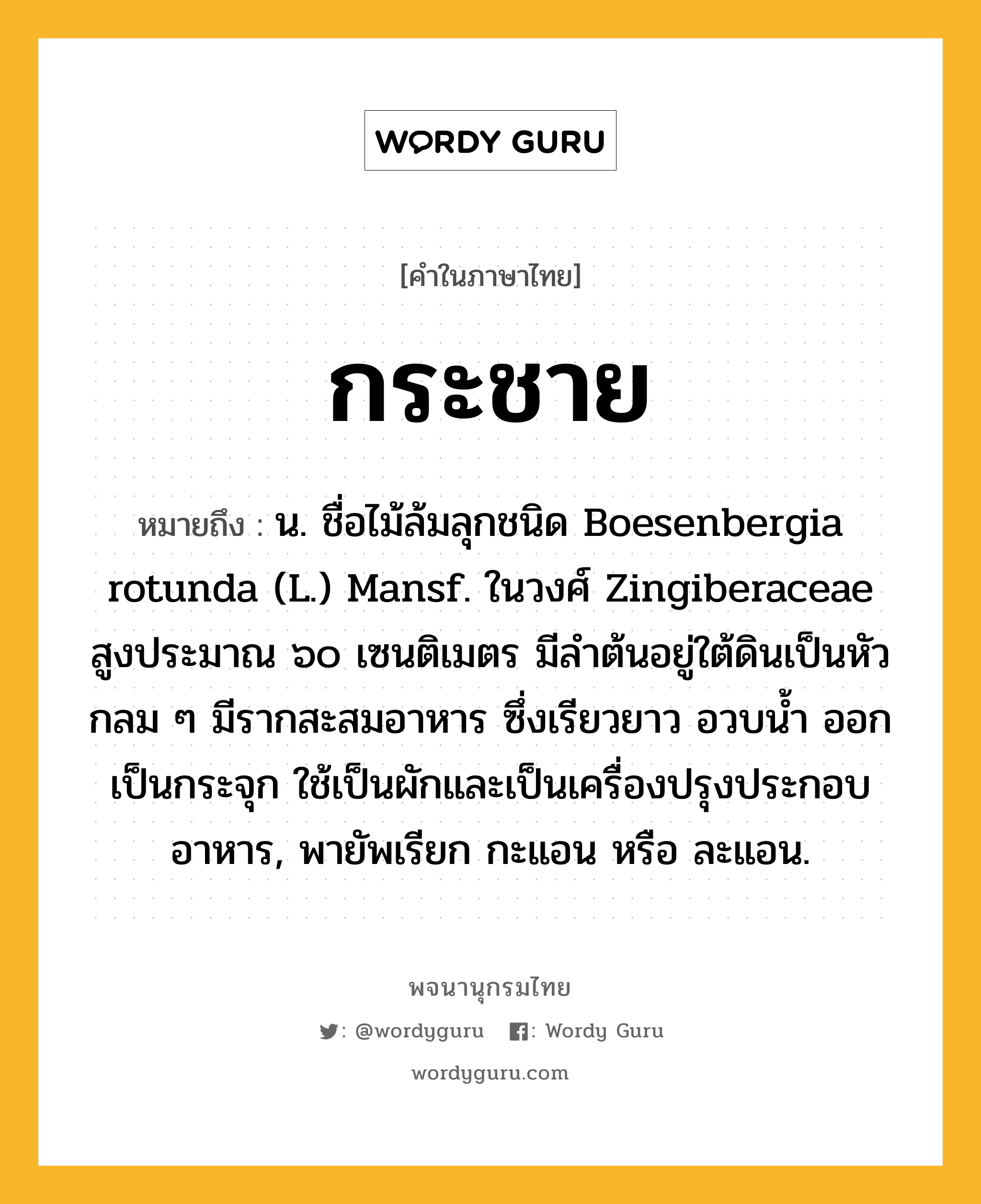 กระชาย หมายถึงอะไร?, คำในภาษาไทย กระชาย หมายถึง น. ชื่อไม้ล้มลุกชนิด Boesenbergia rotunda (L.) Mansf. ในวงศ์ Zingiberaceae สูงประมาณ ๖๐ เซนติเมตร มีลําต้นอยู่ใต้ดินเป็นหัวกลม ๆ มีรากสะสมอาหาร ซึ่งเรียวยาว อวบนํ้า ออกเป็นกระจุก ใช้เป็นผักและเป็นเครื่องปรุงประกอบอาหาร, พายัพเรียก กะแอน หรือ ละแอน.