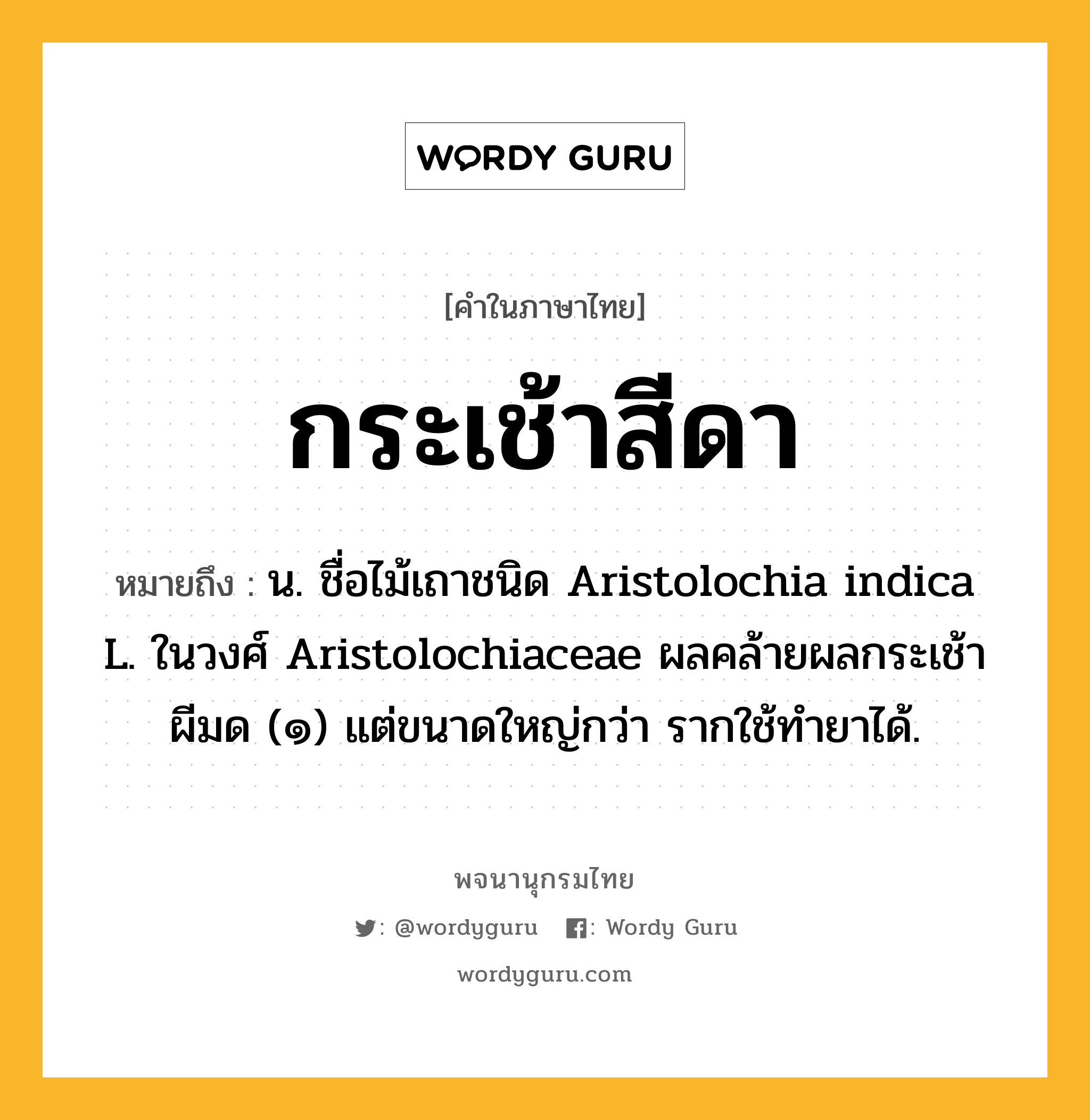 กระเช้าสีดา ความหมาย หมายถึงอะไร?, คำในภาษาไทย กระเช้าสีดา หมายถึง น. ชื่อไม้เถาชนิด Aristolochia indica L. ในวงศ์ Aristolochiaceae ผลคล้ายผลกระเช้าผีมด (๑) แต่ขนาดใหญ่กว่า รากใช้ทํายาได้.