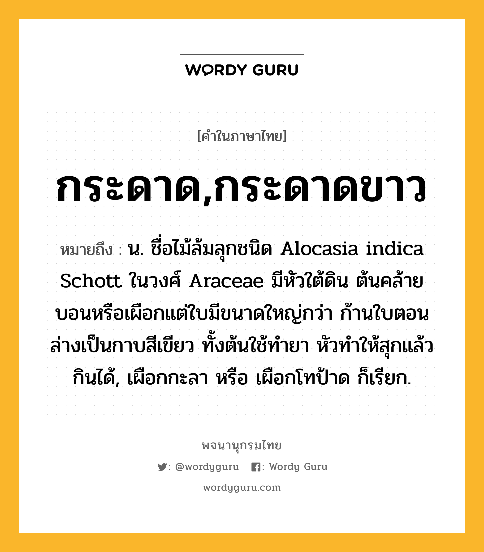 กระดาด,กระดาดขาว หมายถึงอะไร?, คำในภาษาไทย กระดาด,กระดาดขาว หมายถึง น. ชื่อไม้ล้มลุกชนิด Alocasia indica Schott ในวงศ์ Araceae มีหัวใต้ดิน ต้นคล้ายบอนหรือเผือกแต่ใบมีขนาดใหญ่กว่า ก้านใบตอนล่างเป็นกาบสีเขียว ทั้งต้นใช้ทํายา หัวทําให้สุกแล้วกินได้, เผือกกะลา หรือ เผือกโทป้าด ก็เรียก.