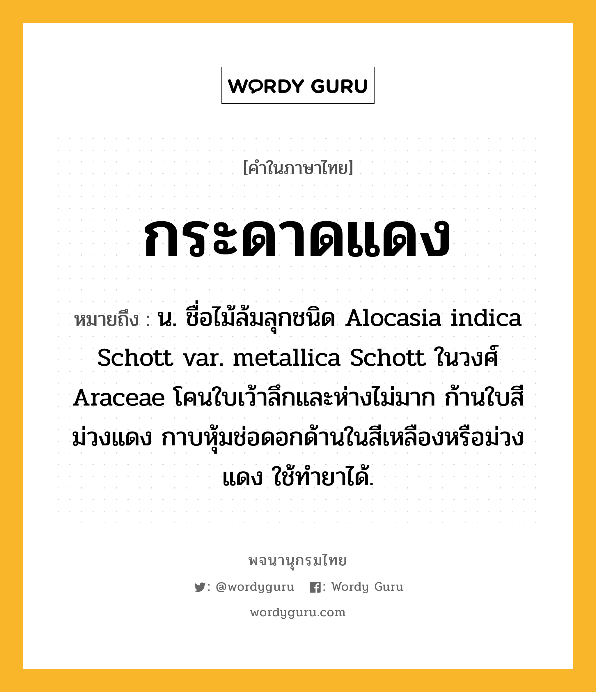 กระดาดแดง ความหมาย หมายถึงอะไร?, คำในภาษาไทย กระดาดแดง หมายถึง น. ชื่อไม้ล้มลุกชนิด Alocasia indica Schott var. metallica Schott ในวงศ์ Araceae โคนใบเว้าลึกและห่างไม่มาก ก้านใบสีม่วงแดง กาบหุ้มช่อดอกด้านในสีเหลืองหรือม่วงแดง ใช้ทํายาได้.