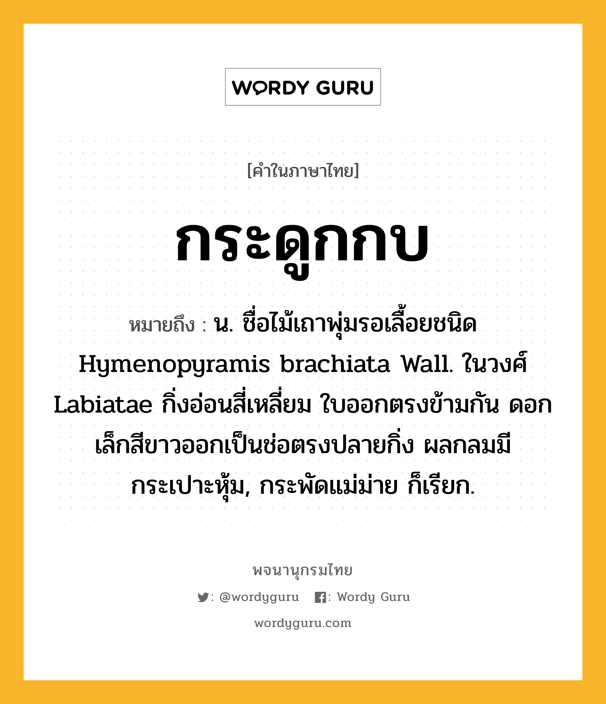 กระดูกกบ หมายถึงอะไร?, คำในภาษาไทย กระดูกกบ หมายถึง น. ชื่อไม้เถาพุ่มรอเลื้อยชนิด Hymenopyramis brachiata Wall. ในวงศ์ Labiatae กิ่งอ่อนสี่เหลี่ยม ใบออกตรงข้ามกัน ดอกเล็กสีขาวออกเป็นช่อตรงปลายกิ่ง ผลกลมมีกระเปาะหุ้ม, กระพัดแม่ม่าย ก็เรียก.