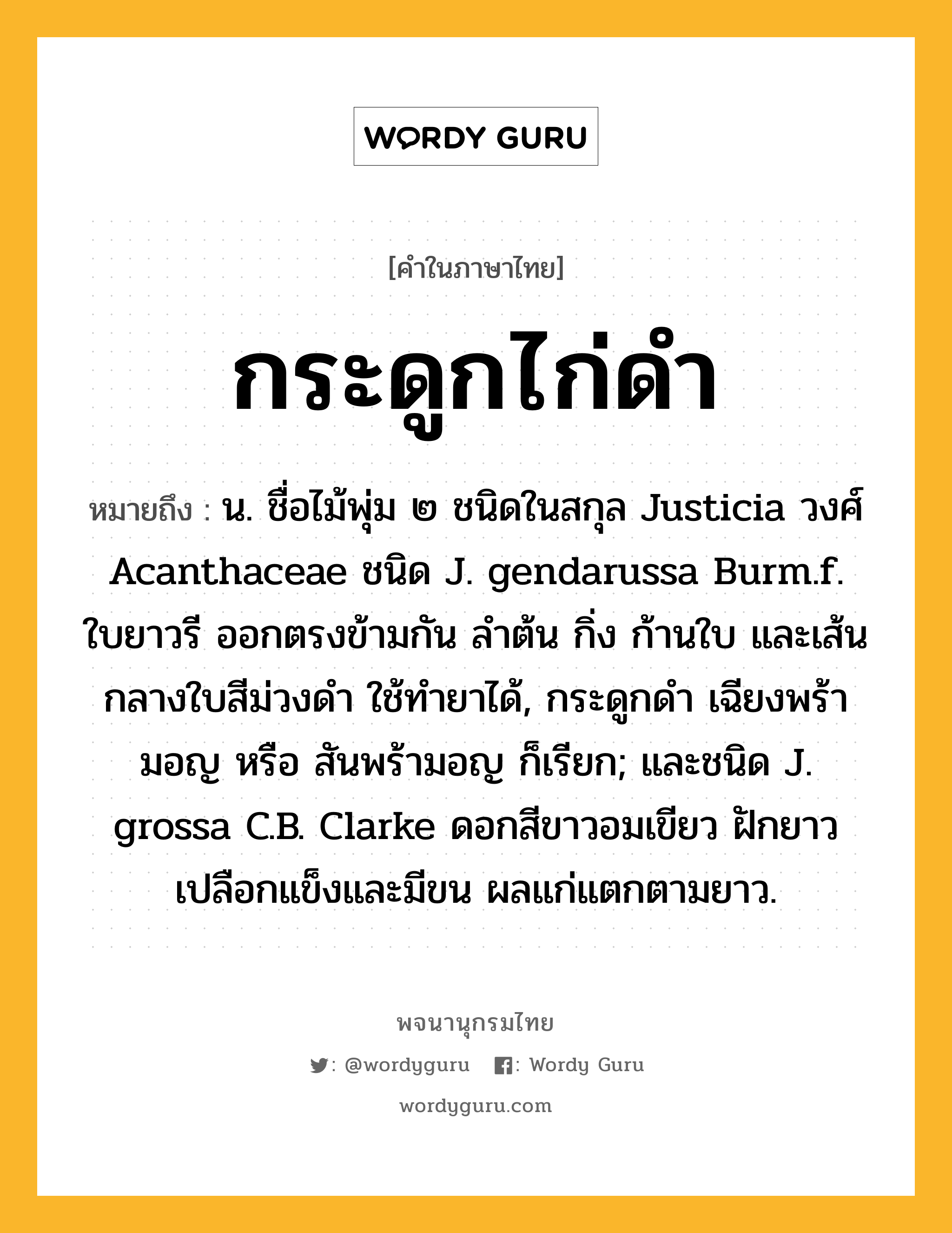 กระดูกไก่ดำ ความหมาย หมายถึงอะไร?, คำในภาษาไทย กระดูกไก่ดำ หมายถึง น. ชื่อไม้พุ่ม ๒ ชนิดในสกุล Justicia วงศ์ Acanthaceae ชนิด J. gendarussa Burm.f. ใบยาวรี ออกตรงข้ามกัน ลําต้น กิ่ง ก้านใบ และเส้นกลางใบสีม่วงดํา ใช้ทํายาได้, กระดูกดํา เฉียงพร้ามอญ หรือ สันพร้ามอญ ก็เรียก; และชนิด J. grossa C.B. Clarke ดอกสีขาวอมเขียว ฝักยาว เปลือกแข็งและมีขน ผลแก่แตกตามยาว.