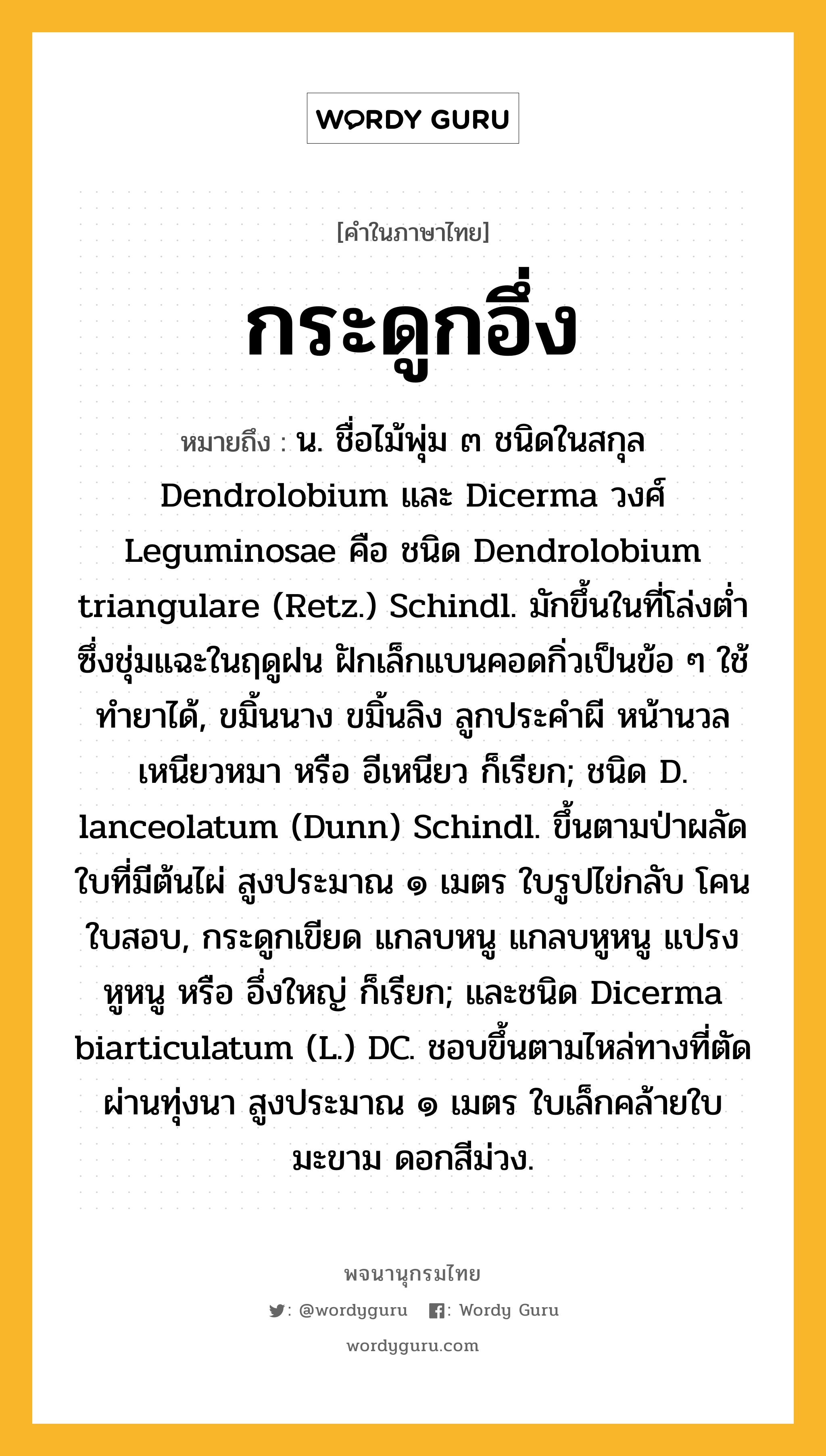 กระดูกอึ่ง หมายถึงอะไร?, คำในภาษาไทย กระดูกอึ่ง หมายถึง น. ชื่อไม้พุ่ม ๓ ชนิดในสกุล Dendrolobium และ Dicerma วงศ์ Leguminosae คือ ชนิด Dendrolobium triangulare (Retz.) Schindl. มักขึ้นในที่โล่งตํ่าซึ่งชุ่มแฉะในฤดูฝน ฝักเล็กแบนคอดกิ่วเป็นข้อ ๆ ใช้ทํายาได้, ขมิ้นนาง ขมิ้นลิง ลูกประคําผี หน้านวล เหนียวหมา หรือ อีเหนียว ก็เรียก; ชนิด D. lanceolatum (Dunn) Schindl. ขึ้นตามป่าผลัดใบที่มีต้นไผ่ สูงประมาณ ๑ เมตร ใบรูปไข่กลับ โคนใบสอบ, กระดูกเขียด แกลบหนู แกลบหูหนู แปรงหูหนู หรือ อึ่งใหญ่ ก็เรียก; และชนิด Dicerma biarticulatum (L.) DC. ชอบขึ้นตามไหล่ทางที่ตัดผ่านทุ่งนา สูงประมาณ ๑ เมตร ใบเล็กคล้ายใบมะขาม ดอกสีม่วง.