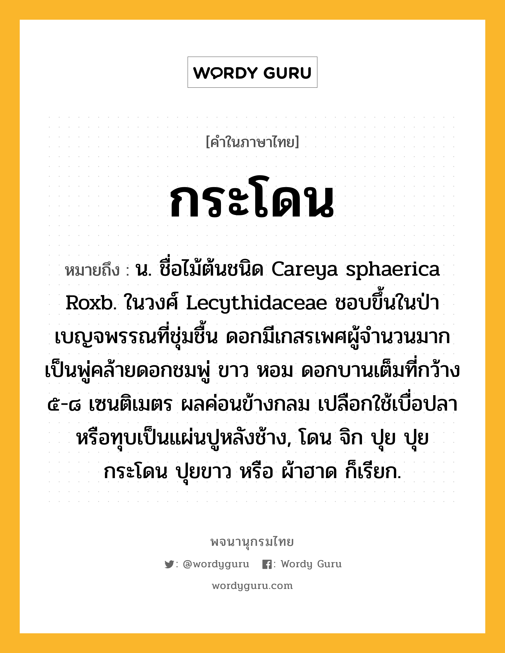 กระโดน หมายถึงอะไร?, คำในภาษาไทย กระโดน หมายถึง น. ชื่อไม้ต้นชนิด Careya sphaerica Roxb. ในวงศ์ Lecythidaceae ชอบขึ้นในป่าเบญจพรรณที่ชุ่มชื้น ดอกมีเกสรเพศผู้จํานวนมากเป็นพู่คล้ายดอกชมพู่ ขาว หอม ดอกบานเต็มที่กว้าง ๕-๘ เซนติเมตร ผลค่อนข้างกลม เปลือกใช้เบื่อปลาหรือทุบเป็นแผ่นปูหลังช้าง, โดน จิก ปุย ปุยกระโดน ปุยขาว หรือ ผ้าฮาด ก็เรียก.