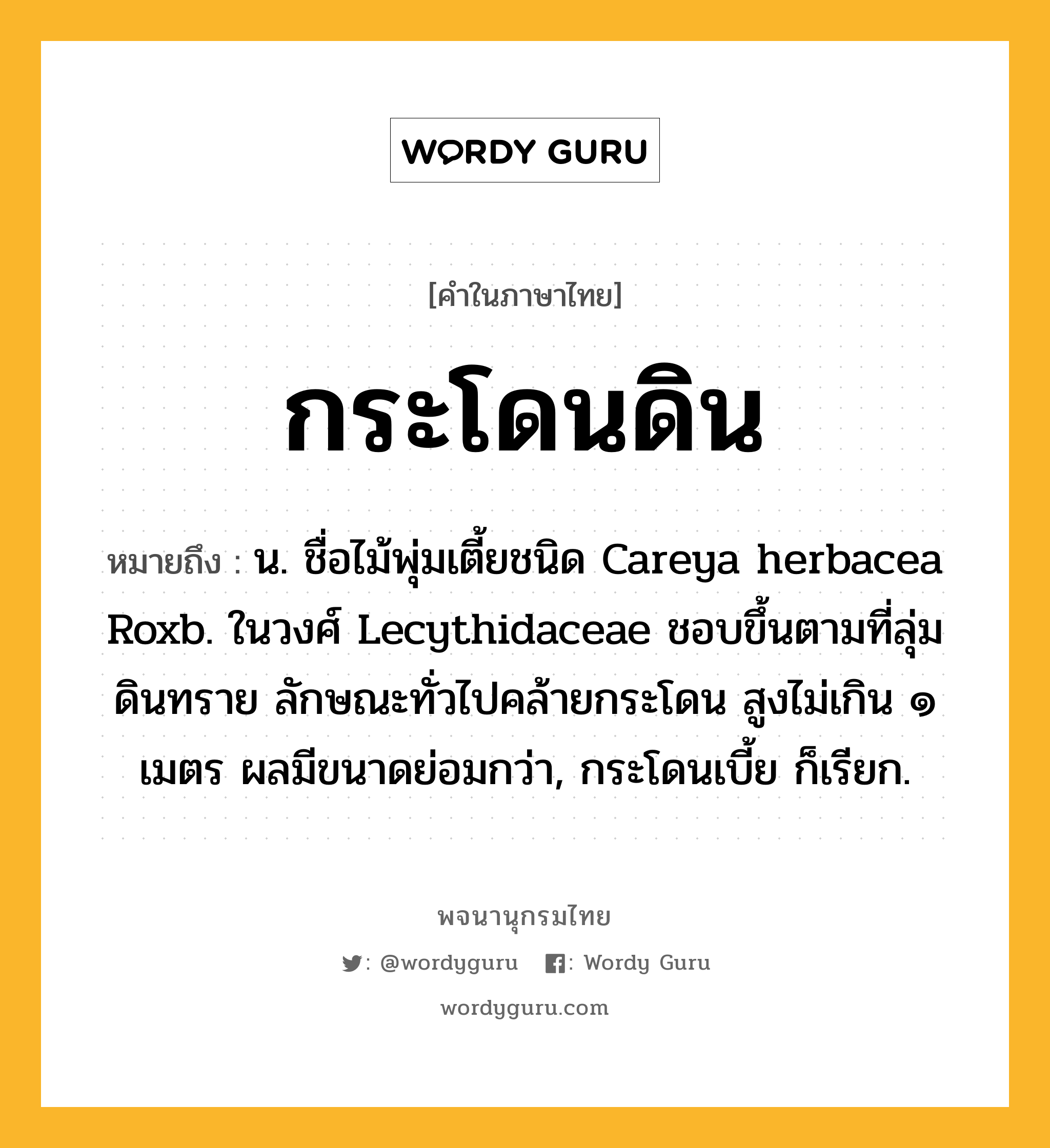 กระโดนดิน หมายถึงอะไร?, คำในภาษาไทย กระโดนดิน หมายถึง น. ชื่อไม้พุ่มเตี้ยชนิด Careya herbacea Roxb. ในวงศ์ Lecythidaceae ชอบขึ้นตามที่ลุ่มดินทราย ลักษณะทั่วไปคล้ายกระโดน สูงไม่เกิน ๑ เมตร ผลมีขนาดย่อมกว่า, กระโดนเบี้ย ก็เรียก.