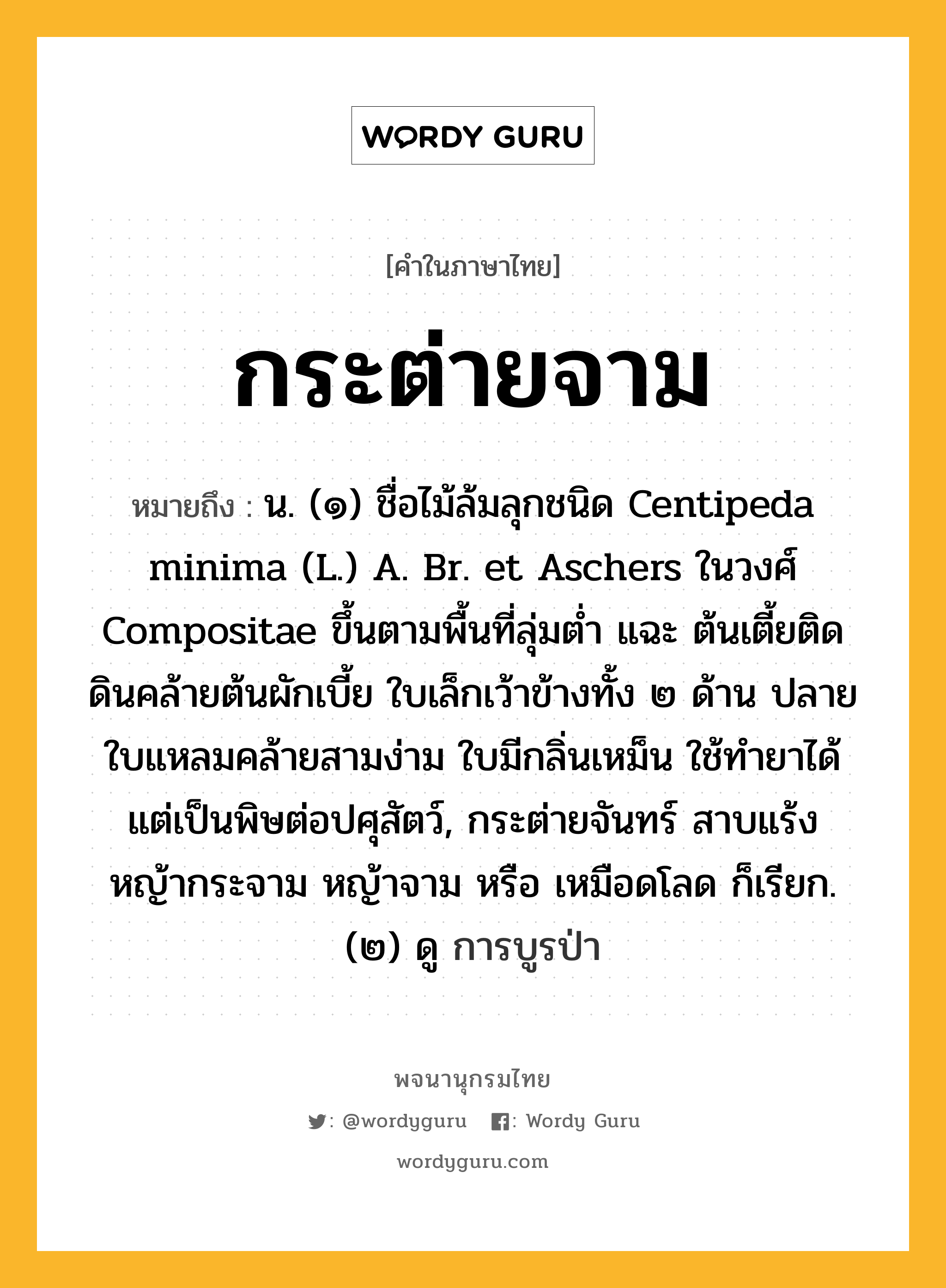 กระต่ายจาม หมายถึงอะไร?, คำในภาษาไทย กระต่ายจาม หมายถึง น. (๑) ชื่อไม้ล้มลุกชนิด Centipeda minima (L.) A. Br. et Aschers ในวงศ์ Compositae ขึ้นตามพื้นที่ลุ่มตํ่า แฉะ ต้นเตี้ยติดดินคล้ายต้นผักเบี้ย ใบเล็กเว้าข้างทั้ง ๒ ด้าน ปลายใบแหลมคล้ายสามง่าม ใบมีกลิ่นเหม็น ใช้ทํายาได้ แต่เป็นพิษต่อปศุสัตว์, กระต่ายจันทร์ สาบแร้ง หญ้ากระจาม หญ้าจาม หรือ เหมือดโลด ก็เรียก. (๒) ดู การบูรป่า