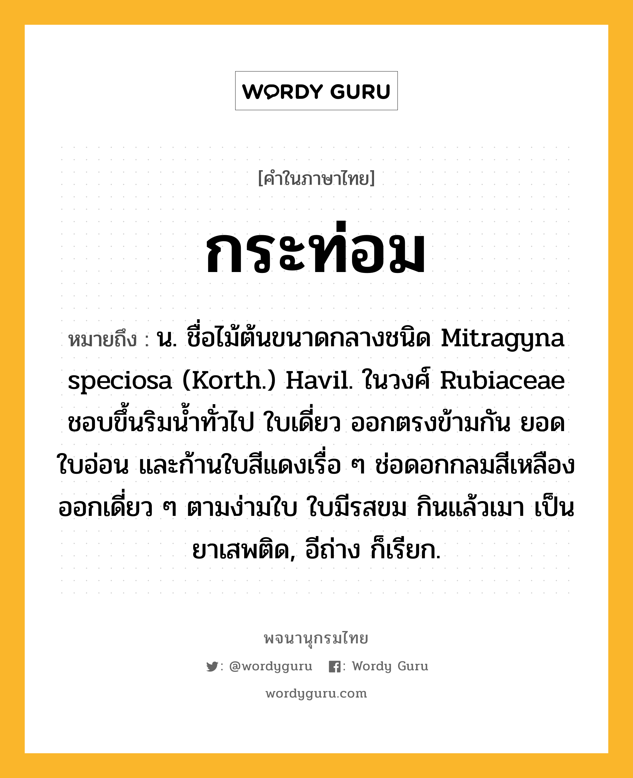 กระท่อม หมายถึงอะไร?, คำในภาษาไทย กระท่อม หมายถึง น. ชื่อไม้ต้นขนาดกลางชนิด Mitragyna speciosa (Korth.) Havil. ในวงศ์ Rubiaceae ชอบขึ้นริมนํ้าทั่วไป ใบเดี่ยว ออกตรงข้ามกัน ยอด ใบอ่อน และก้านใบสีแดงเรื่อ ๆ ช่อดอกกลมสีเหลืองออกเดี่ยว ๆ ตามง่ามใบ ใบมีรสขม กินแล้วเมา เป็นยาเสพติด, อีถ่าง ก็เรียก.