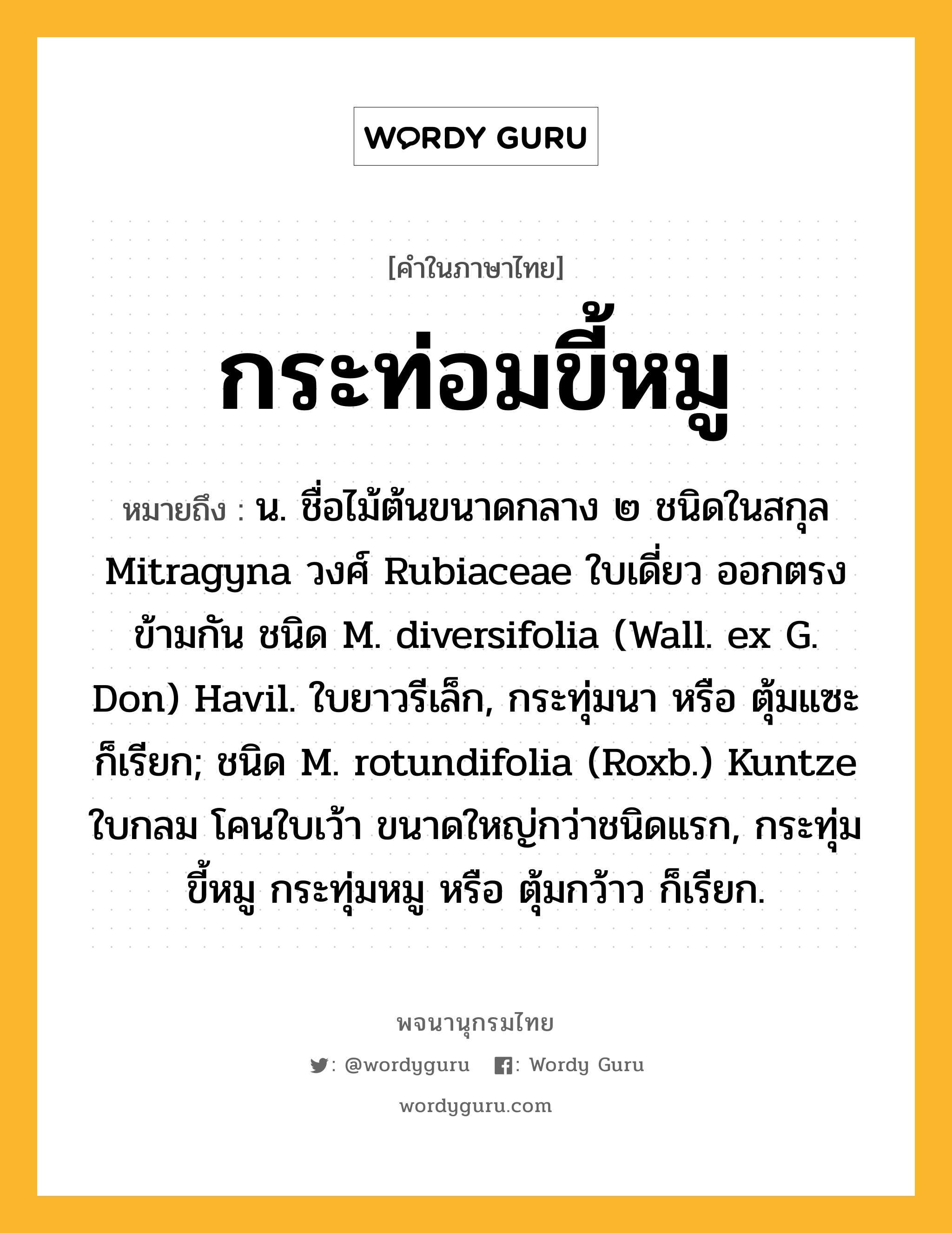 กระท่อมขี้หมู หมายถึงอะไร?, คำในภาษาไทย กระท่อมขี้หมู หมายถึง น. ชื่อไม้ต้นขนาดกลาง ๒ ชนิดในสกุล Mitragyna วงศ์ Rubiaceae ใบเดี่ยว ออกตรงข้ามกัน ชนิด M. diversifolia (Wall. ex G. Don) Havil. ใบยาวรีเล็ก, กระทุ่มนา หรือ ตุ้มแซะ ก็เรียก; ชนิด M. rotundifolia (Roxb.) Kuntze ใบกลม โคนใบเว้า ขนาดใหญ่กว่าชนิดแรก, กระทุ่มขี้หมู กระทุ่มหมู หรือ ตุ้มกว้าว ก็เรียก.