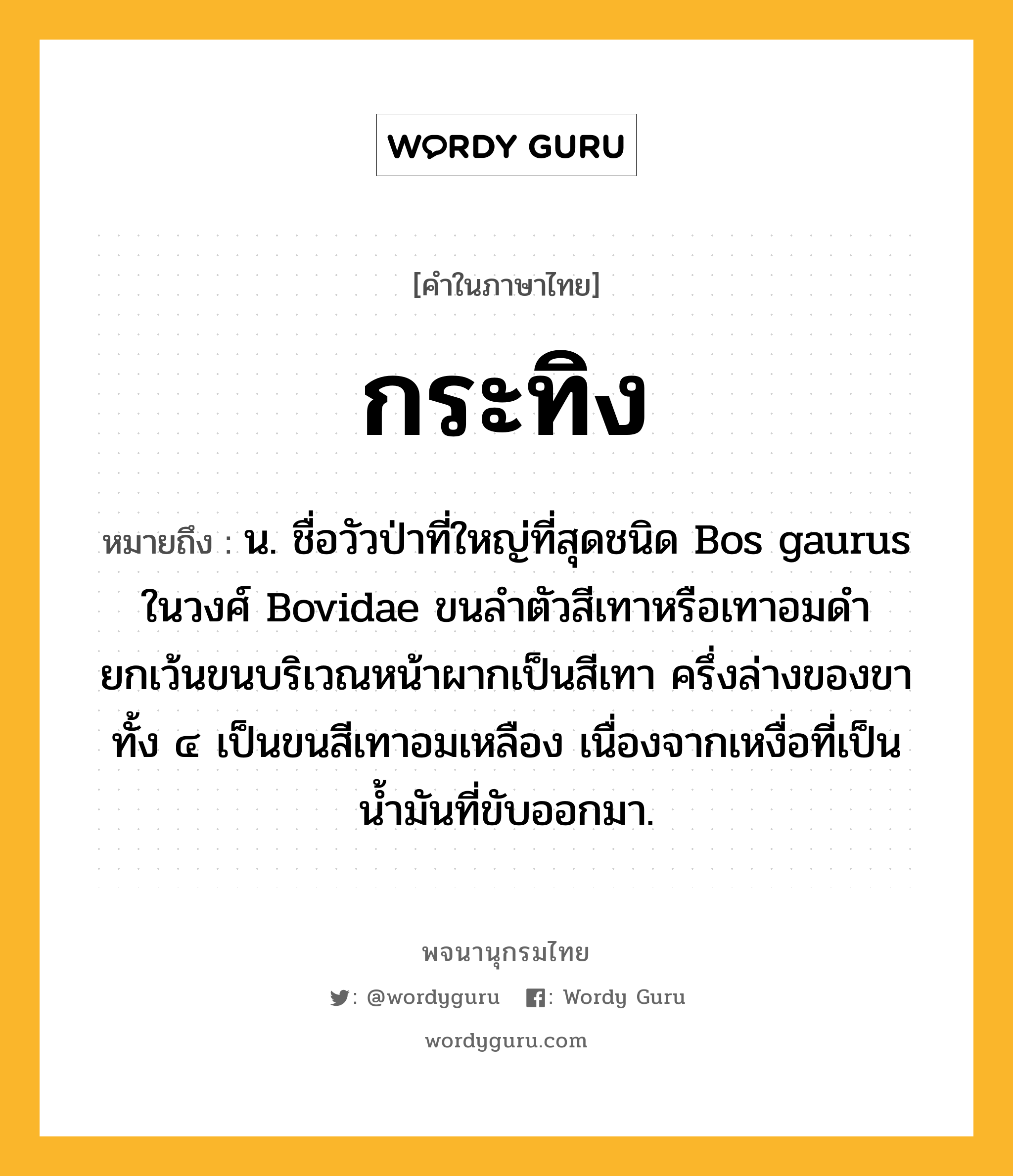 กระทิง หมายถึงอะไร?, คำในภาษาไทย กระทิง หมายถึง น. ชื่อวัวป่าที่ใหญ่ที่สุดชนิด Bos gaurus ในวงศ์ Bovidae ขนลำตัวสีเทาหรือเทาอมดำ ยกเว้นขนบริเวณหน้าผากเป็นสีเทา ครึ่งล่างของขาทั้ง ๔ เป็นขนสีเทาอมเหลือง เนื่องจากเหงื่อที่เป็นน้ำมันที่ขับออกมา.