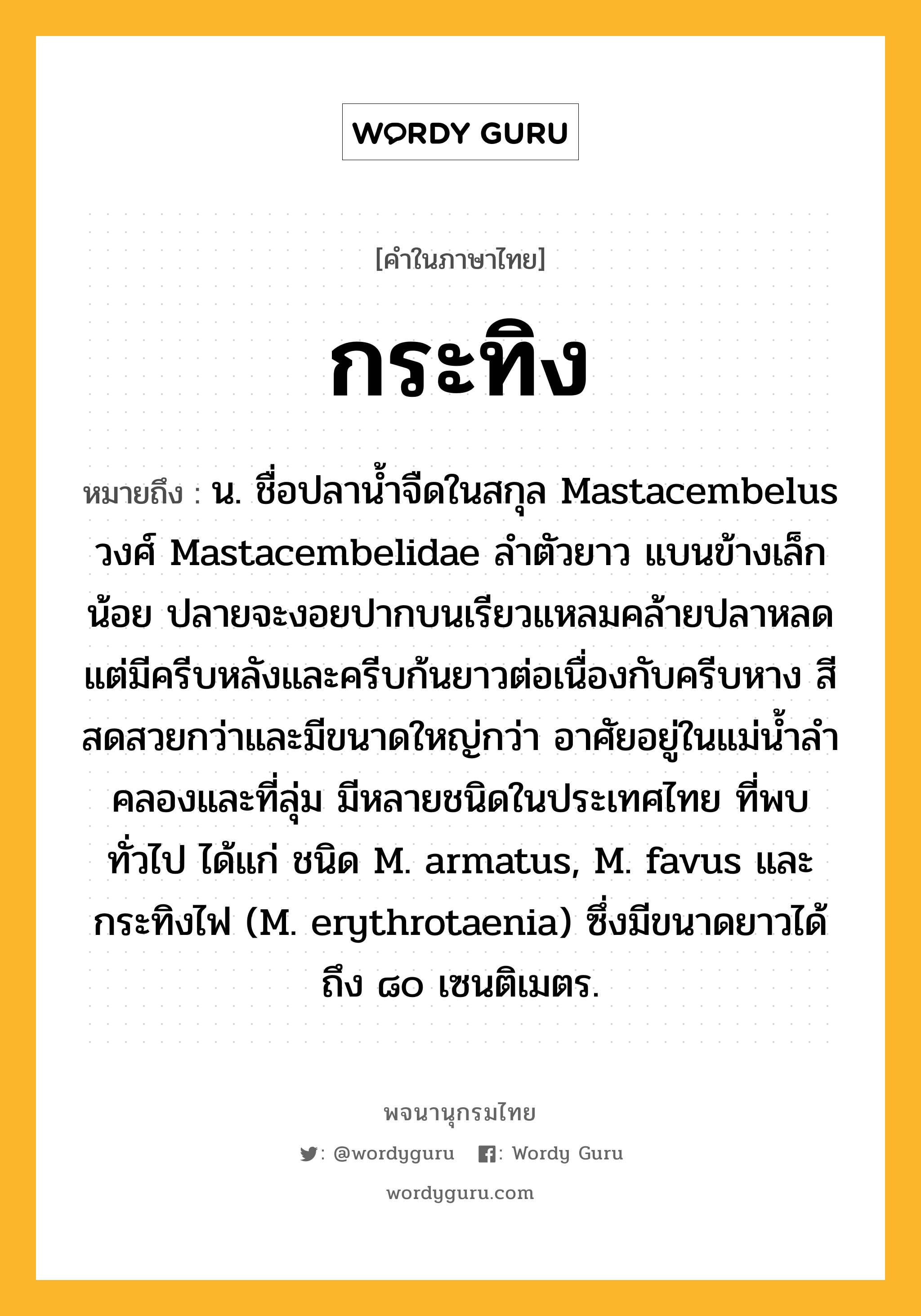 กระทิง หมายถึงอะไร?, คำในภาษาไทย กระทิง หมายถึง น. ชื่อปลานํ้าจืดในสกุล Mastacembelus วงศ์ Mastacembelidae ลําตัวยาว แบนข้างเล็กน้อย ปลายจะงอยปากบนเรียวแหลมคล้ายปลาหลด แต่มีครีบหลังและครีบก้นยาวต่อเนื่องกับครีบหาง สีสดสวยกว่าและมีขนาดใหญ่กว่า อาศัยอยู่ในแม่นํ้าลําคลองและที่ลุ่ม มีหลายชนิดในประเทศไทย ที่พบทั่วไป ได้แก่ ชนิด M. armatus, M. favus และกระทิงไฟ (M. erythrotaenia) ซึ่งมีขนาดยาวได้ถึง ๘๐ เซนติเมตร.