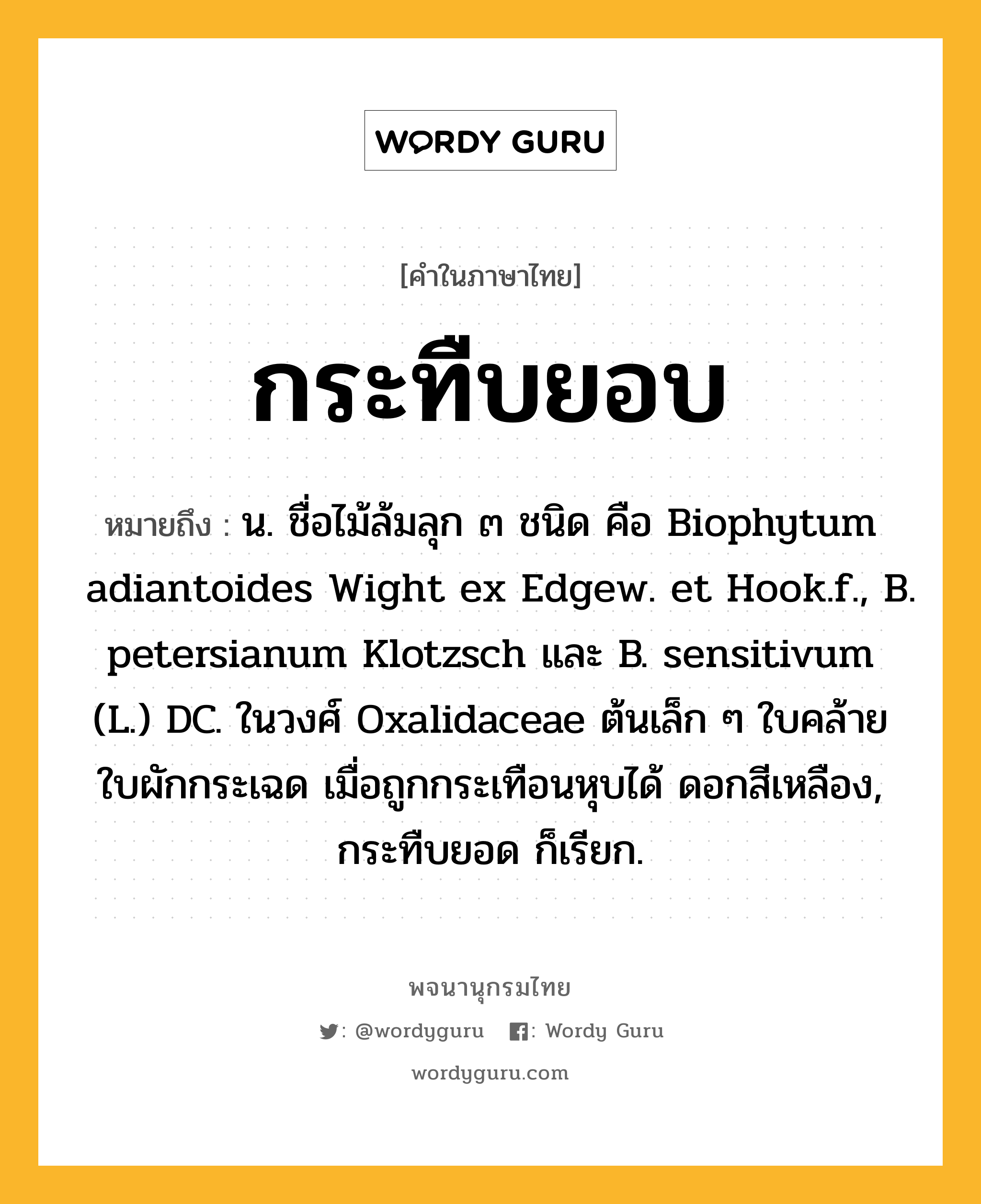 กระทืบยอบ หมายถึงอะไร?, คำในภาษาไทย กระทืบยอบ หมายถึง น. ชื่อไม้ล้มลุก ๓ ชนิด คือ Biophytum adiantoides Wight ex Edgew. et Hook.f., B. petersianum Klotzsch และ B. sensitivum (L.) DC. ในวงศ์ Oxalidaceae ต้นเล็ก ๆ ใบคล้ายใบผักกระเฉด เมื่อถูกกระเทือนหุบได้ ดอกสีเหลือง, กระทืบยอด ก็เรียก.