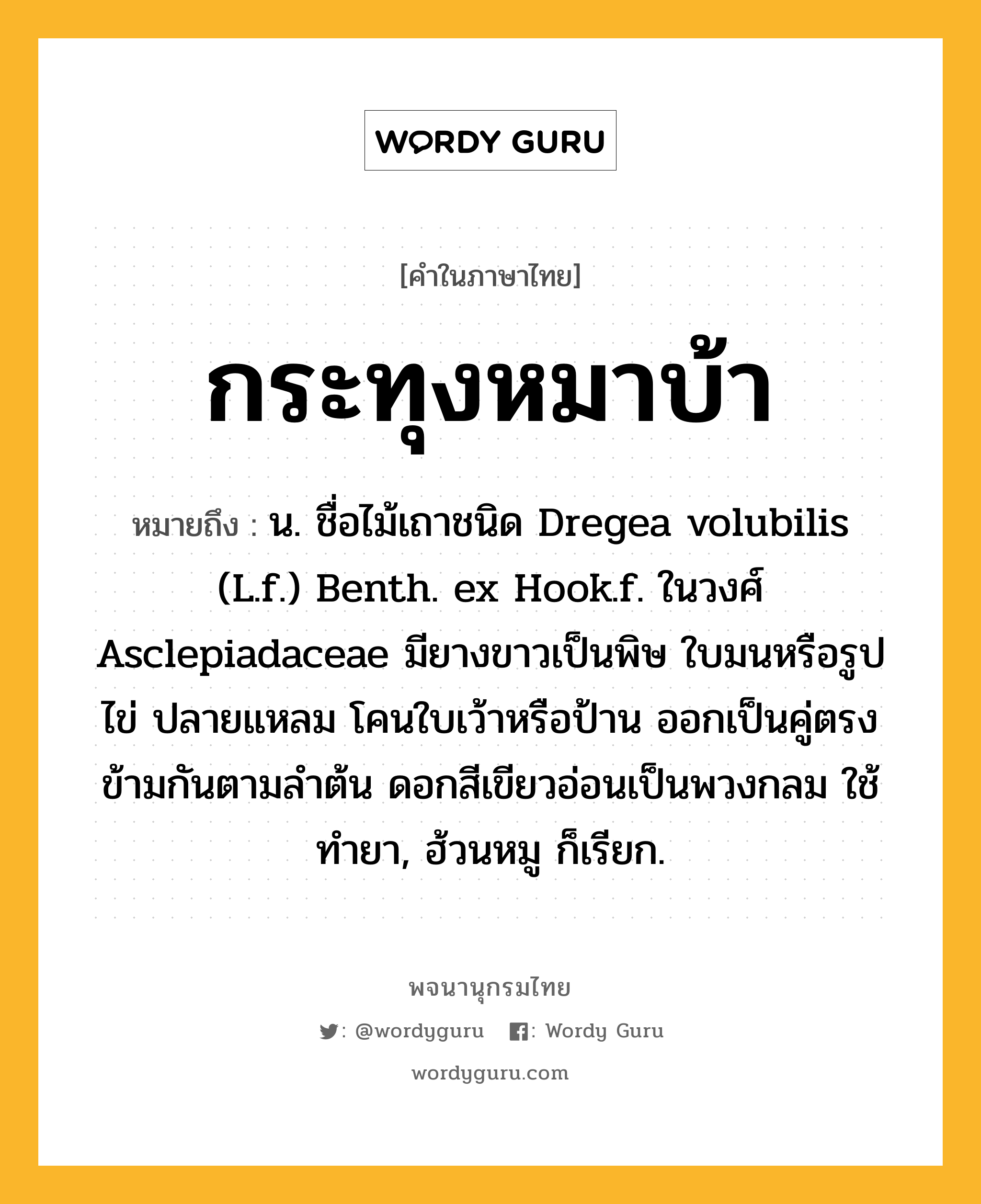 กระทุงหมาบ้า หมายถึงอะไร?, คำในภาษาไทย กระทุงหมาบ้า หมายถึง น. ชื่อไม้เถาชนิด Dregea volubilis (L.f.) Benth. ex Hook.f. ในวงศ์ Asclepiadaceae มียางขาวเป็นพิษ ใบมนหรือรูปไข่ ปลายแหลม โคนใบเว้าหรือป้าน ออกเป็นคู่ตรงข้ามกันตามลําต้น ดอกสีเขียวอ่อนเป็นพวงกลม ใช้ทํายา, ฮ้วนหมู ก็เรียก.