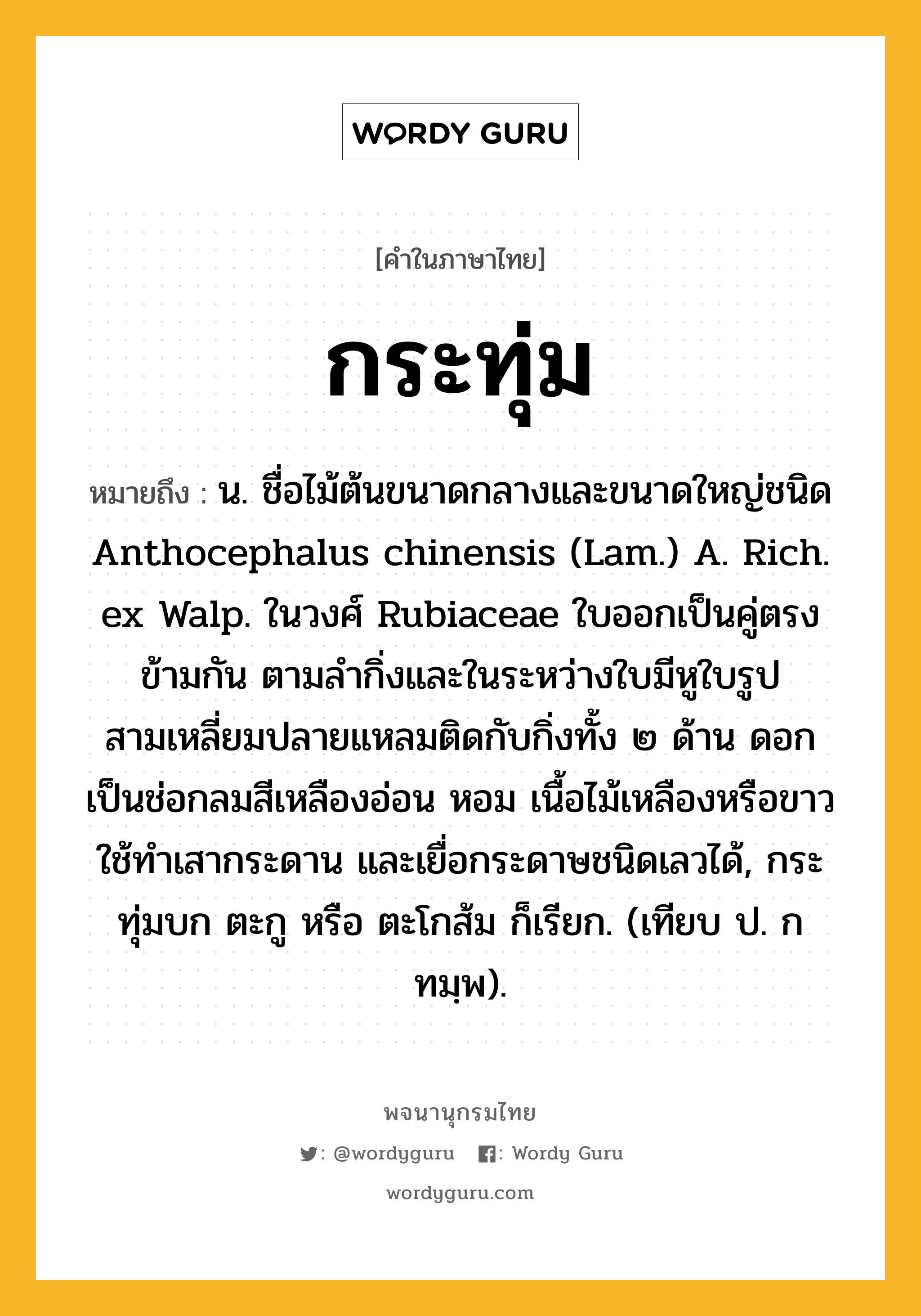 กระทุ่ม หมายถึงอะไร?, คำในภาษาไทย กระทุ่ม หมายถึง น. ชื่อไม้ต้นขนาดกลางและขนาดใหญ่ชนิด Anthocephalus chinensis (Lam.) A. Rich. ex Walp. ในวงศ์ Rubiaceae ใบออกเป็นคู่ตรงข้ามกัน ตามลํากิ่งและในระหว่างใบมีหูใบรูปสามเหลี่ยมปลายแหลมติดกับกิ่งทั้ง ๒ ด้าน ดอกเป็นช่อกลมสีเหลืองอ่อน หอม เนื้อไม้เหลืองหรือขาว ใช้ทําเสากระดาน และเยื่อกระดาษชนิดเลวได้, กระทุ่มบก ตะกู หรือ ตะโกส้ม ก็เรียก. (เทียบ ป. กทมฺพ).