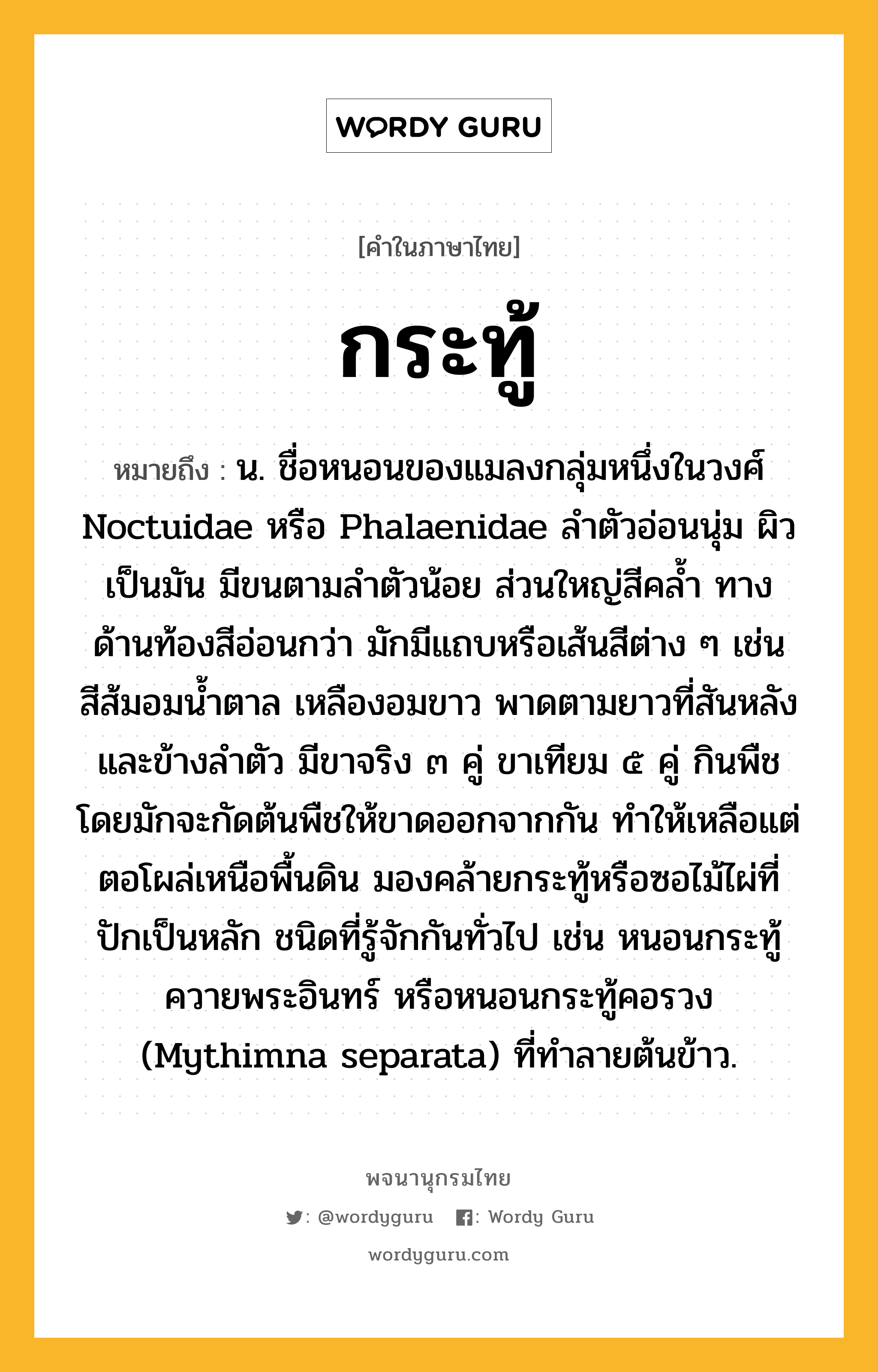 กระทู้ ความหมาย หมายถึงอะไร?, คำในภาษาไทย กระทู้ หมายถึง น. ชื่อหนอนของแมลงกลุ่มหนึ่งในวงศ์ Noctuidae หรือ Phalaenidae ลําตัวอ่อนนุ่ม ผิวเป็นมัน มีขนตามลําตัวน้อย ส่วนใหญ่สีคลํ้า ทางด้านท้องสีอ่อนกว่า มักมีแถบหรือเส้นสีต่าง ๆ เช่น สีส้มอมนํ้าตาล เหลืองอมขาว พาดตามยาวที่สันหลังและข้างลําตัว มีขาจริง ๓ คู่ ขาเทียม ๕ คู่ กินพืช โดยมักจะกัดต้นพืชให้ขาดออกจากกัน ทําให้เหลือแต่ตอโผล่เหนือพื้นดิน มองคล้ายกระทู้หรือซอไม้ไผ่ที่ปักเป็นหลัก ชนิดที่รู้จักกันทั่วไป เช่น หนอนกระทู้ควายพระอินทร์ หรือหนอนกระทู้คอรวง (Mythimna separata) ที่ทําลายต้นข้าว.