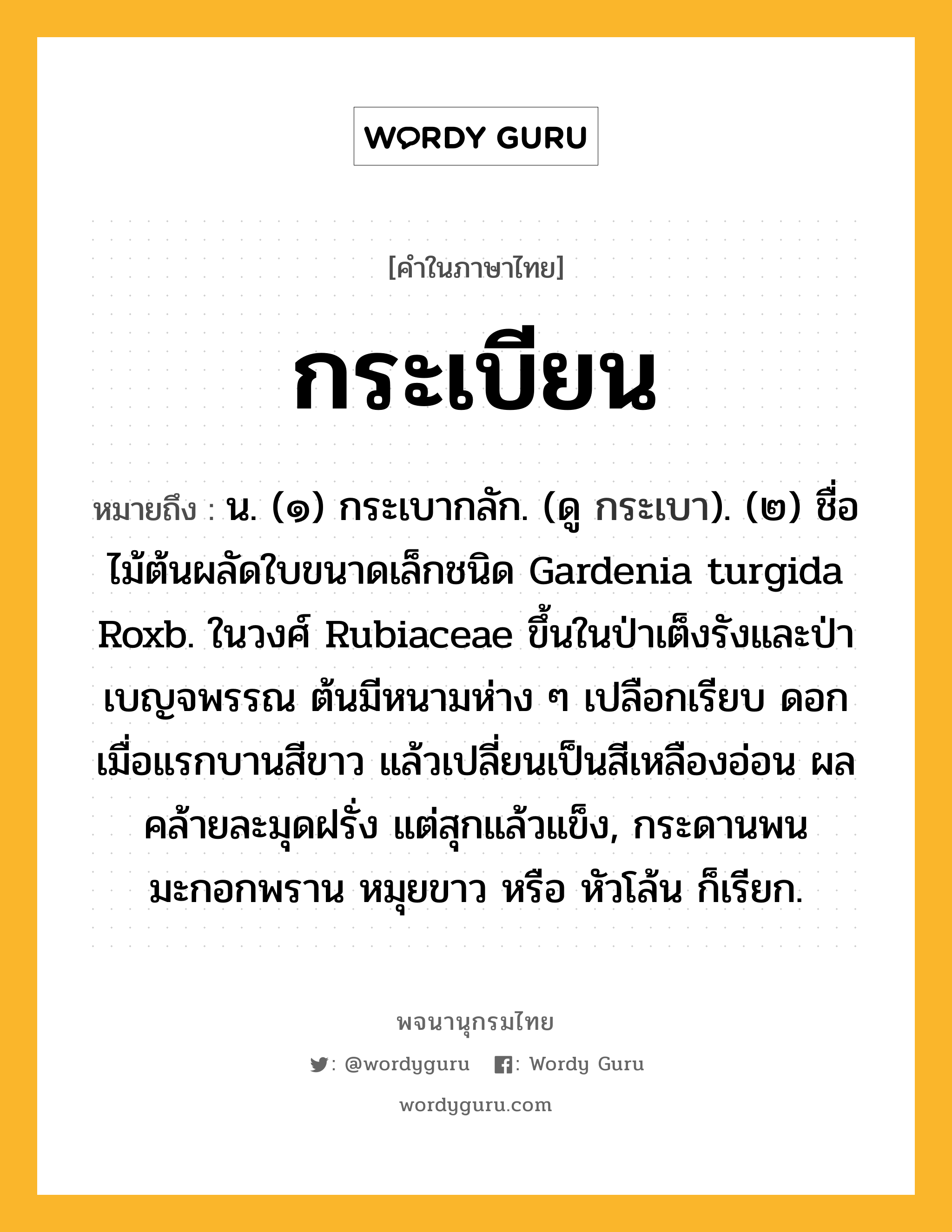 กระเบียน หมายถึงอะไร?, คำในภาษาไทย กระเบียน หมายถึง น. (๑) กระเบากลัก. (ดู กระเบา). (๒) ชื่อไม้ต้นผลัดใบขนาดเล็กชนิด Gardenia turgida Roxb. ในวงศ์ Rubiaceae ขึ้นในป่าเต็งรังและป่าเบญจพรรณ ต้นมีหนามห่าง ๆ เปลือกเรียบ ดอกเมื่อแรกบานสีขาว แล้วเปลี่ยนเป็นสีเหลืองอ่อน ผลคล้ายละมุดฝรั่ง แต่สุกแล้วแข็ง, กระดานพน มะกอกพราน หมุยขาว หรือ หัวโล้น ก็เรียก.